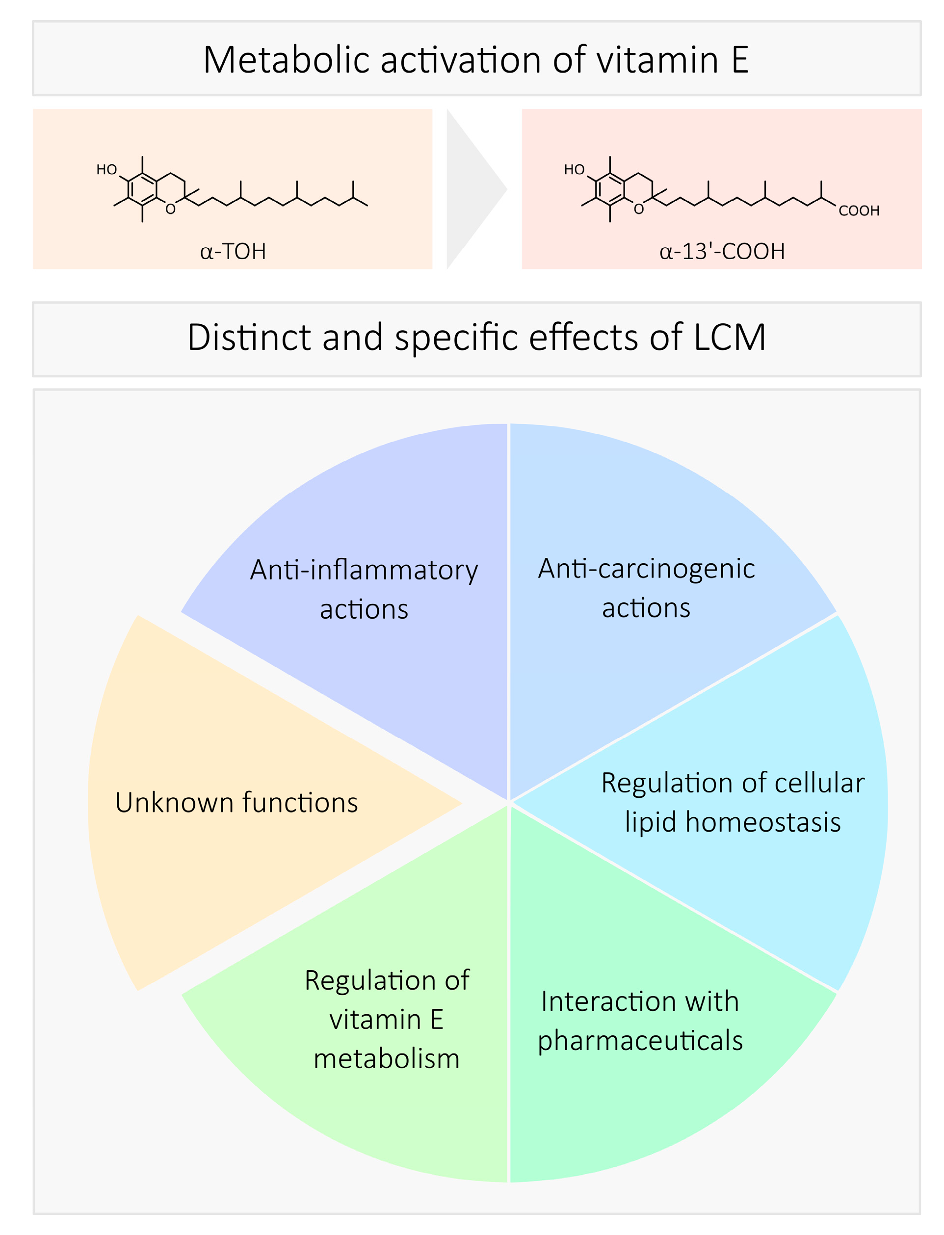 Antioxidants 07 00010 g002