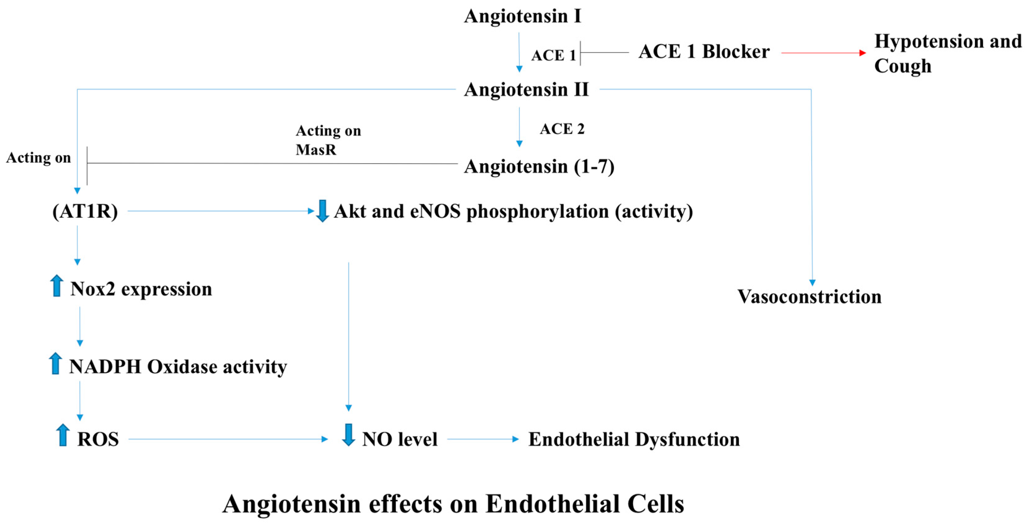 Antioxidants 07 00014 g003