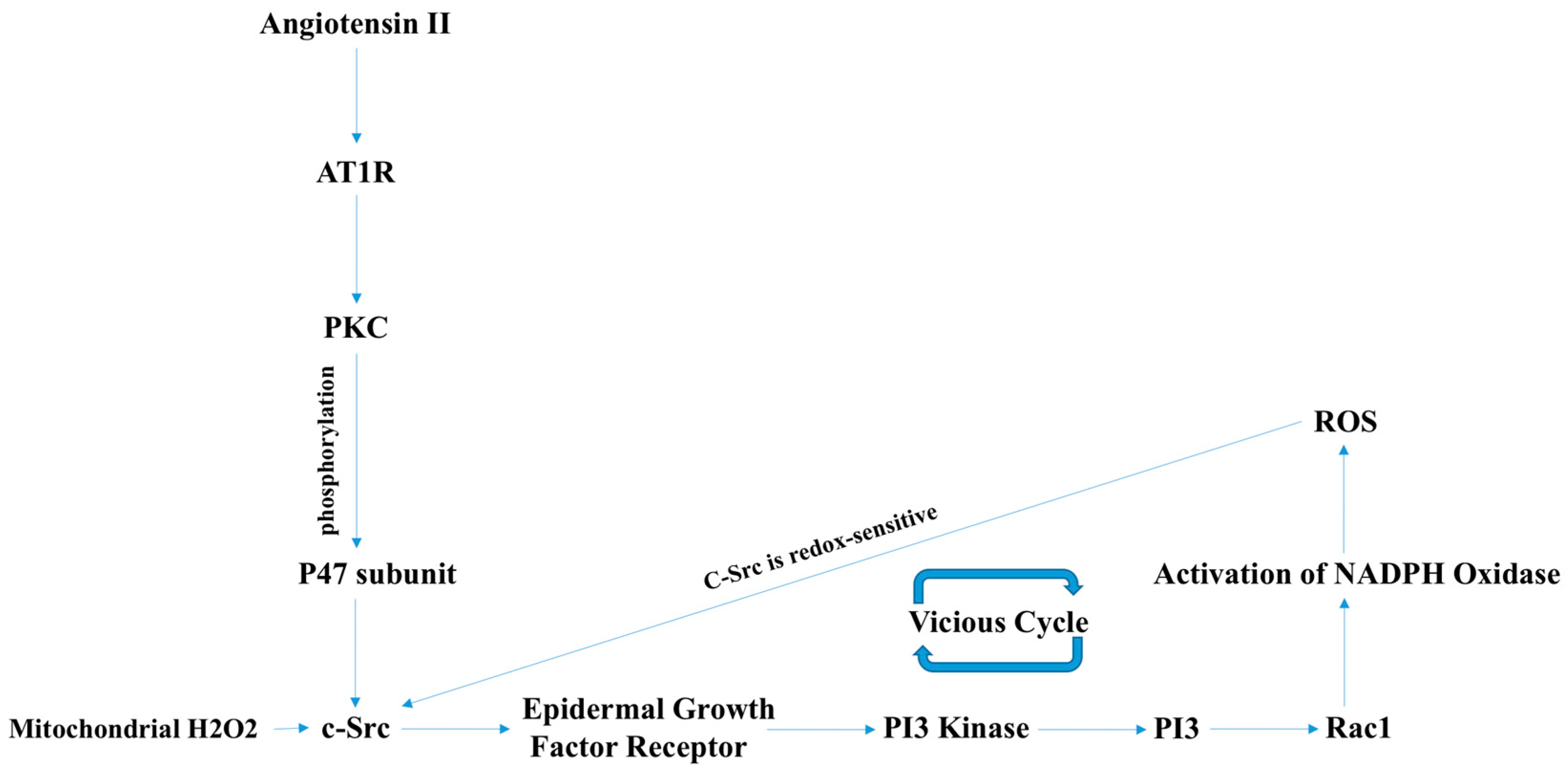 Antioxidants 07 00014 g004