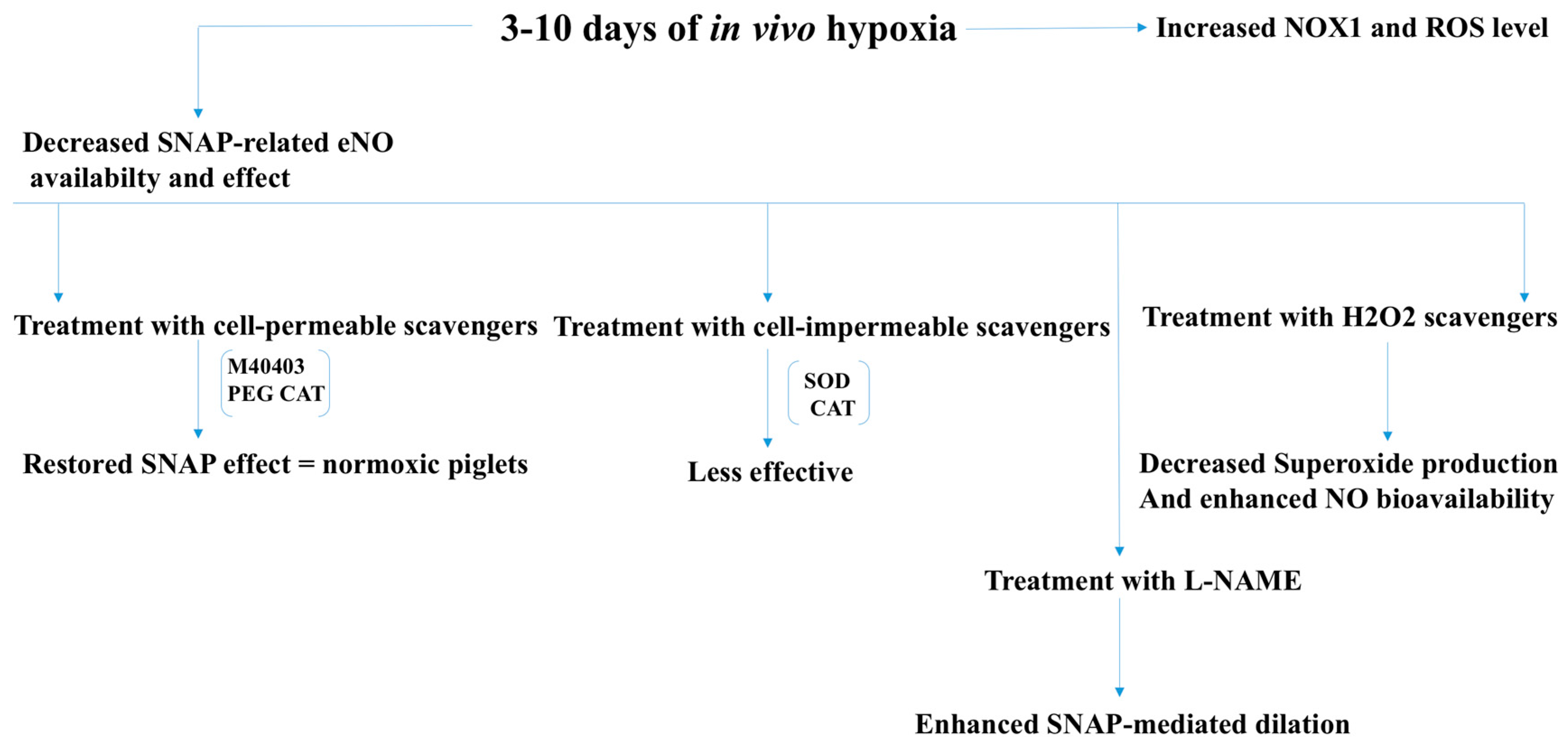 Antioxidants 07 00014 g006