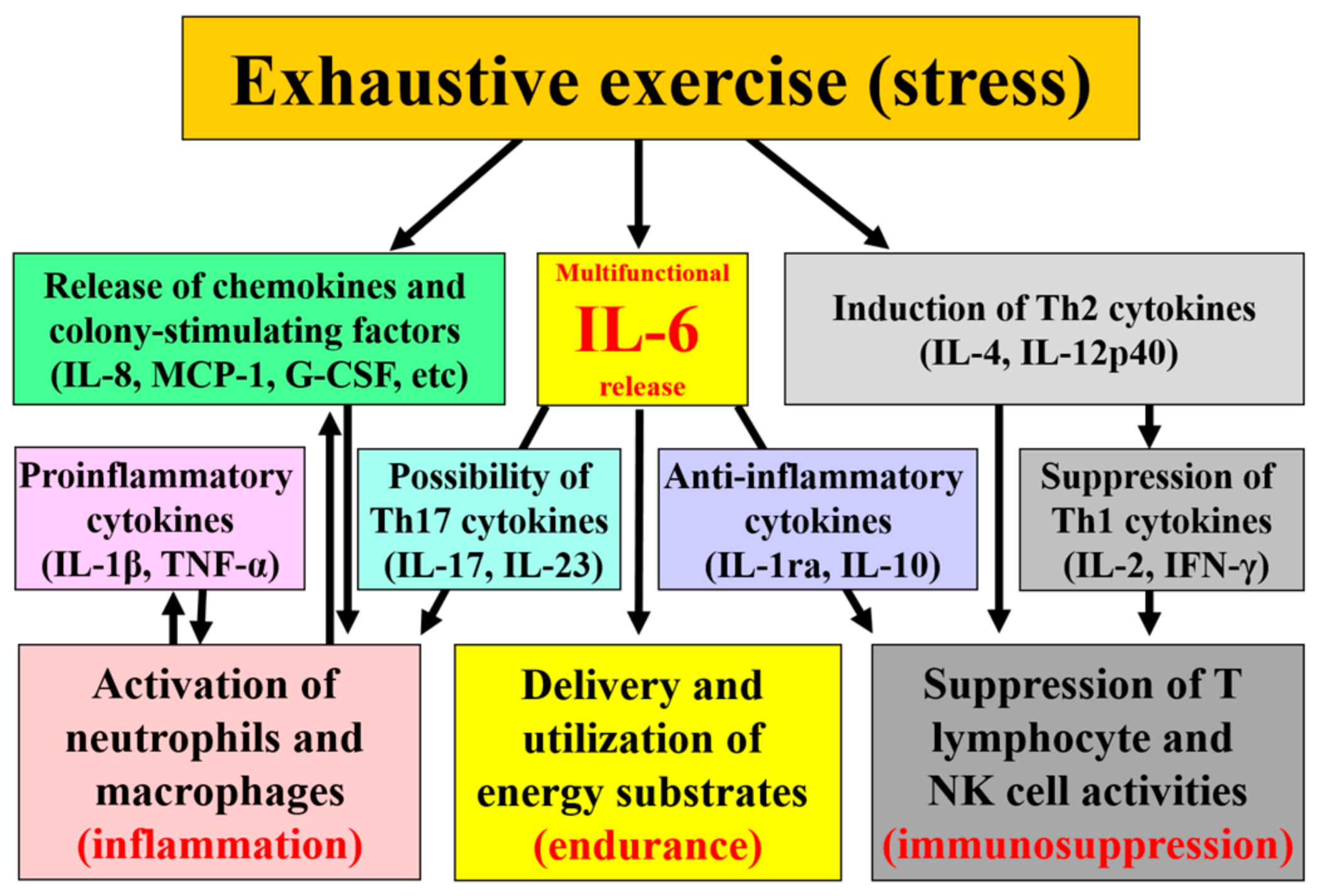 Antioxidants 07 00017 g001 Antioxidants 07 00017 g001
