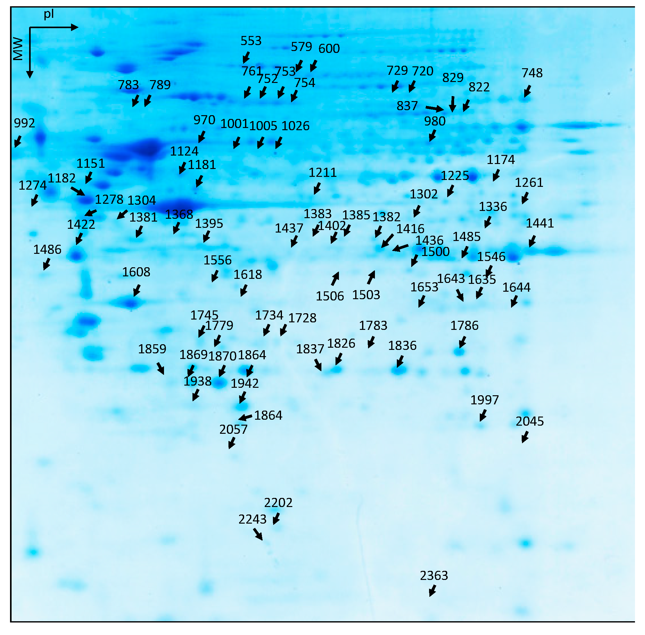 Antioxidants 07 00019 g003