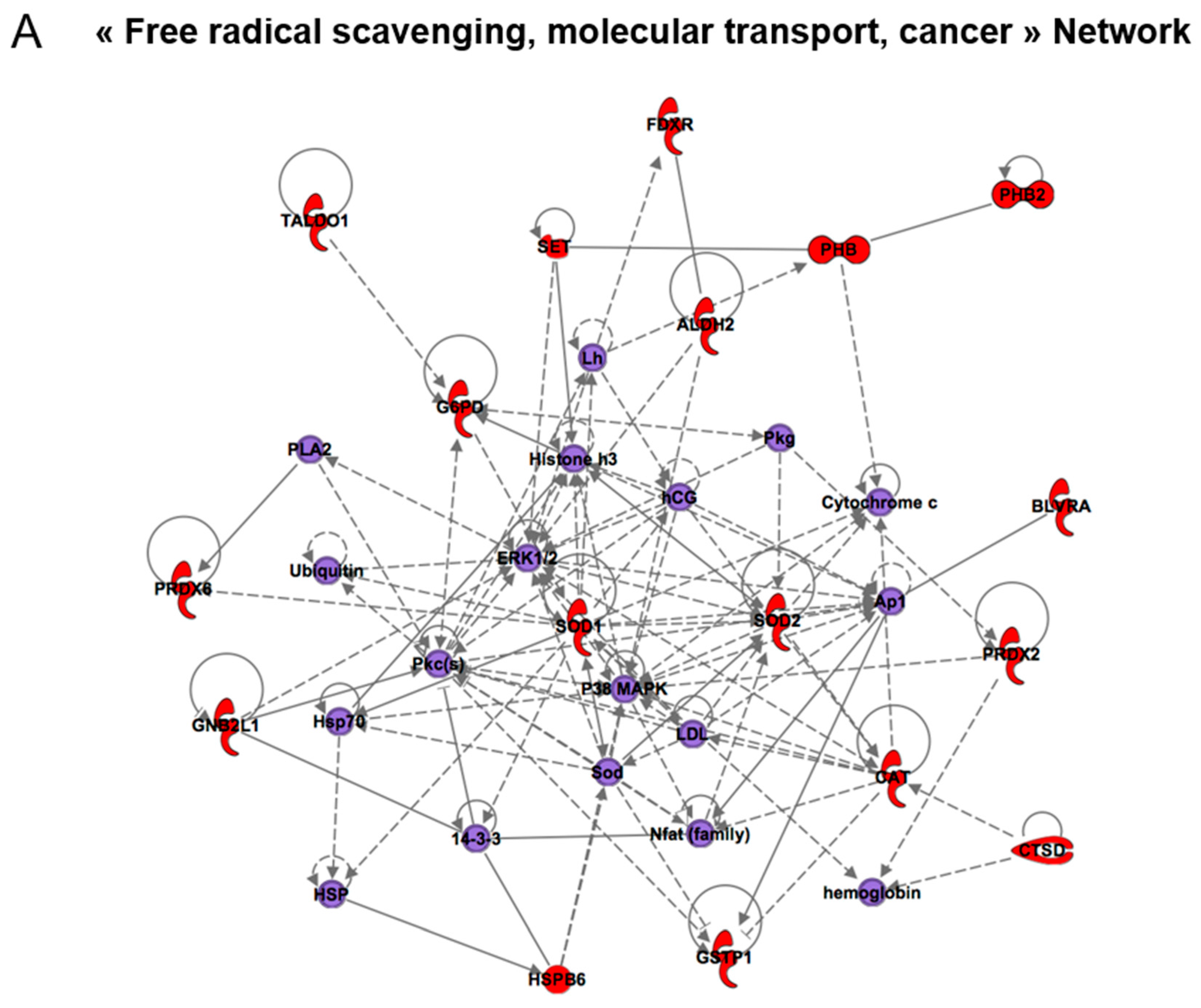 Antioxidants 07 00019 g005a