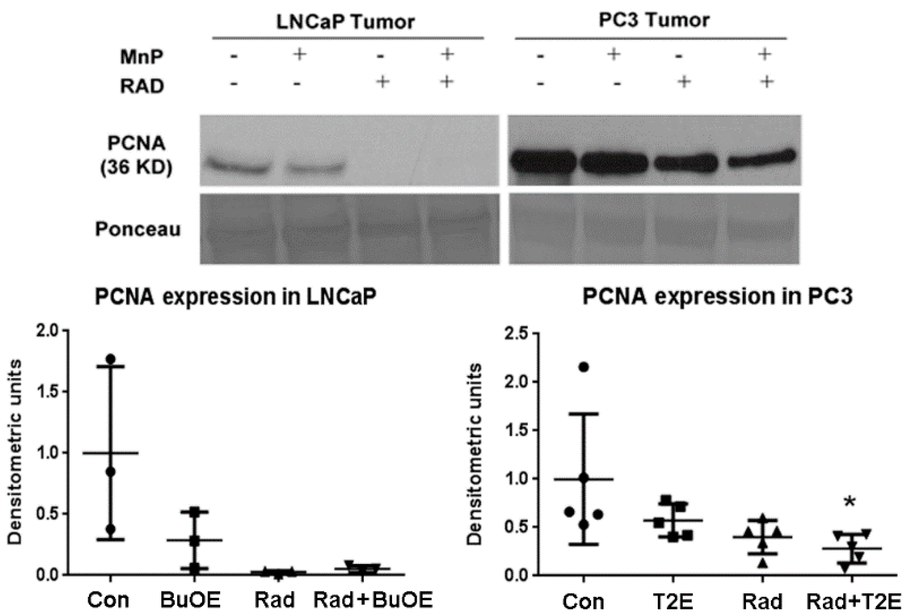Antioxidants 07 00021 g005