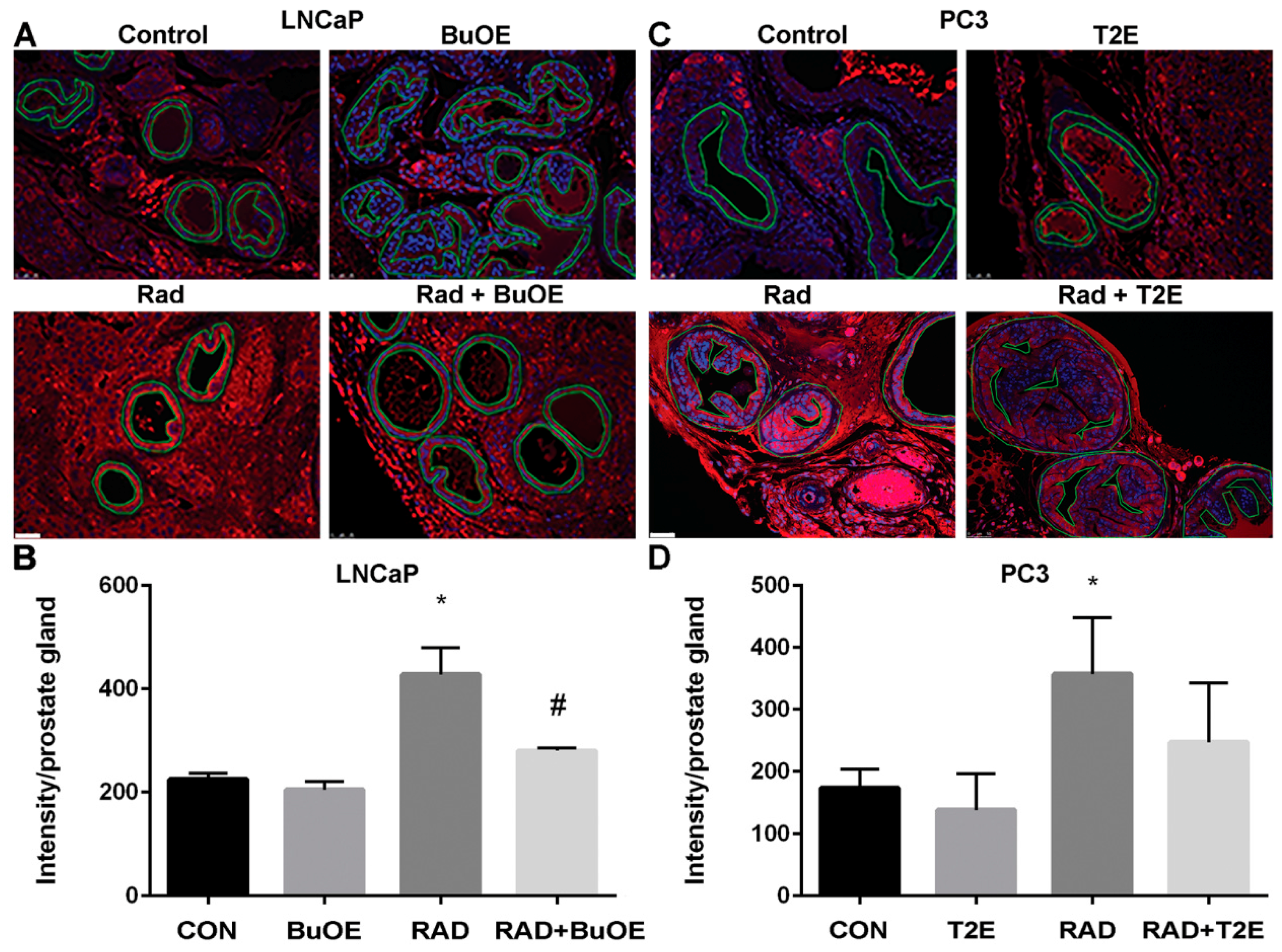 Antioxidants 07 00021 g007