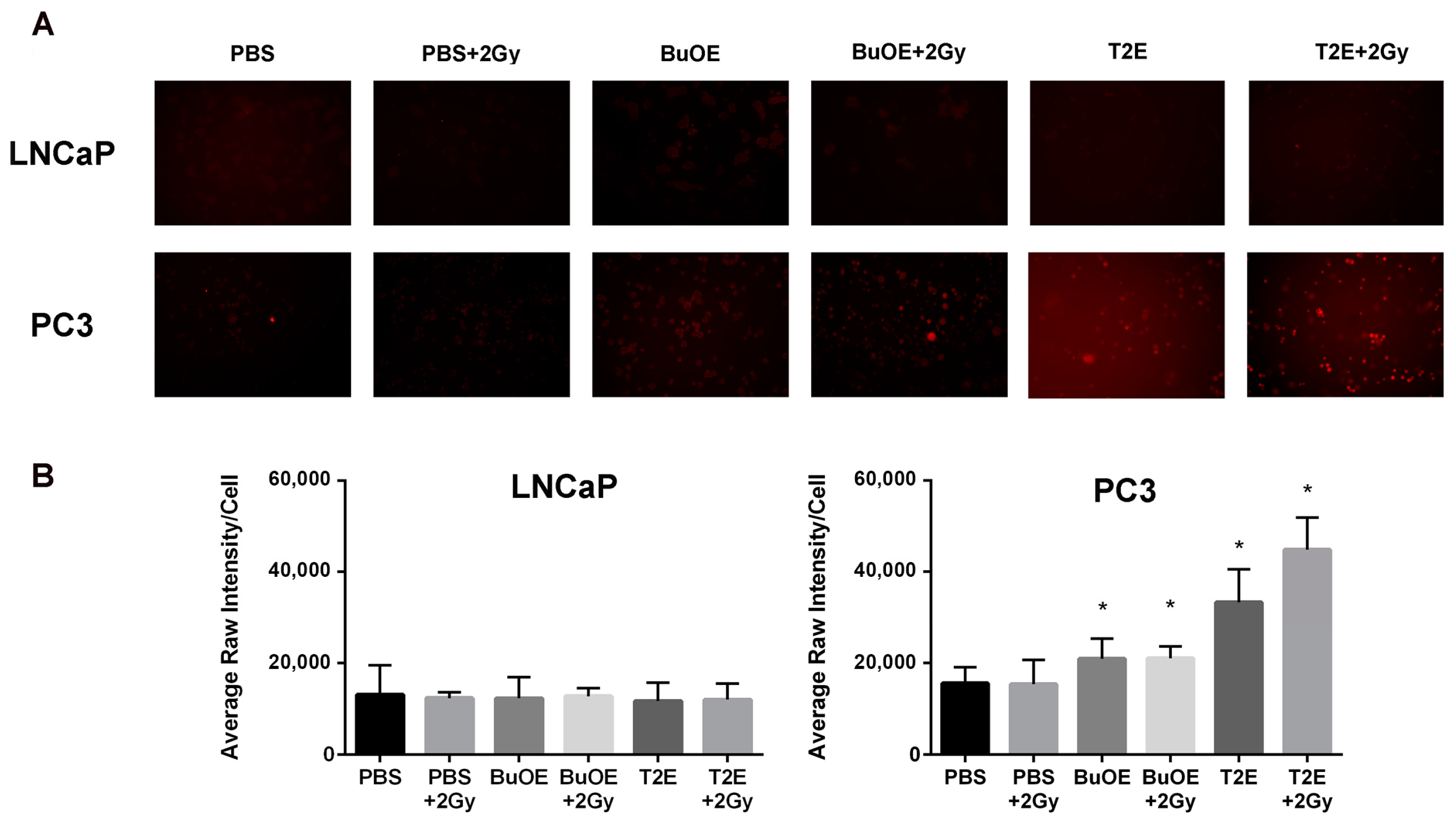 Antioxidants 07 00021 g009