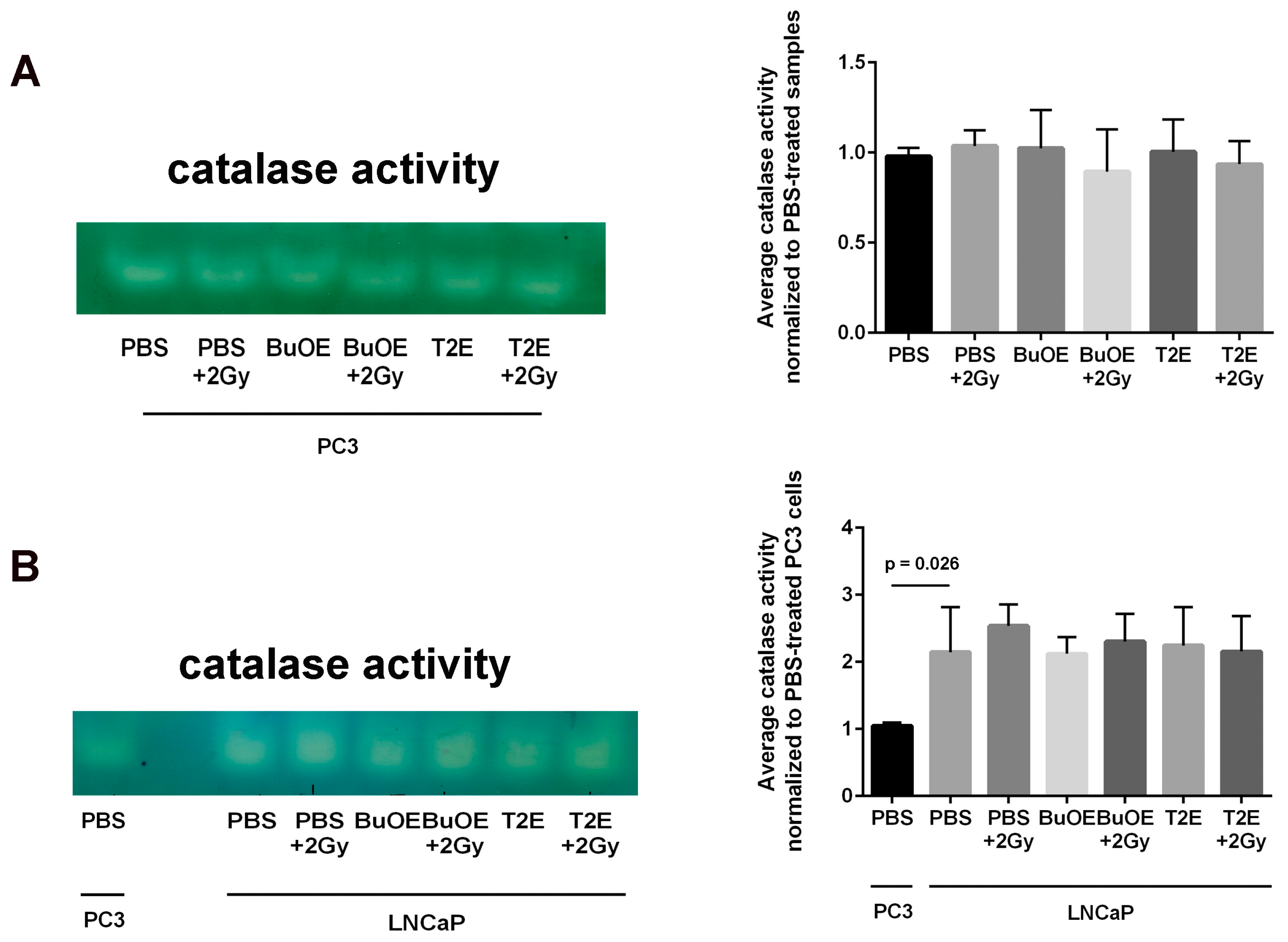 Antioxidants 07 00021 g011
