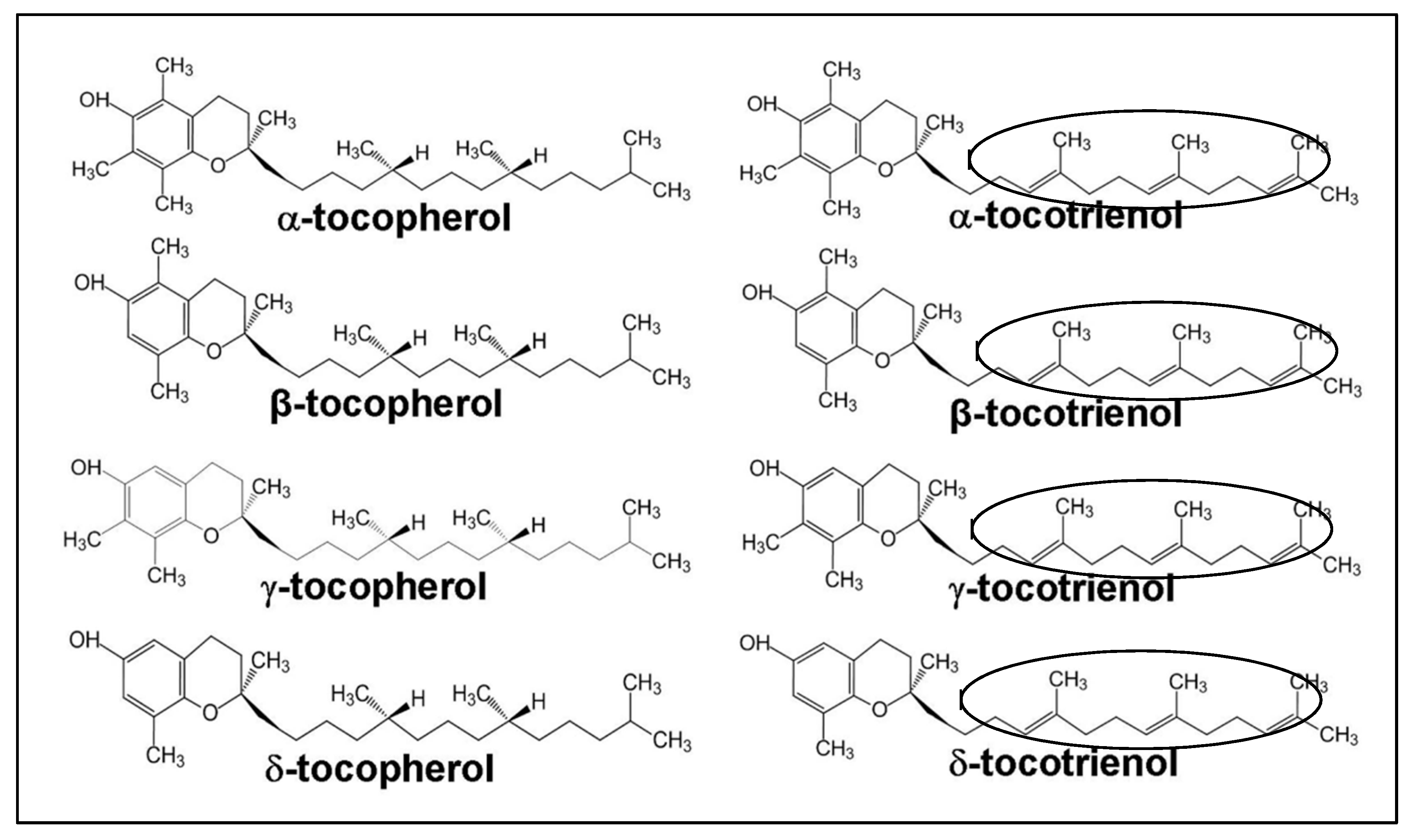 Antioxidants 07 00022 g001