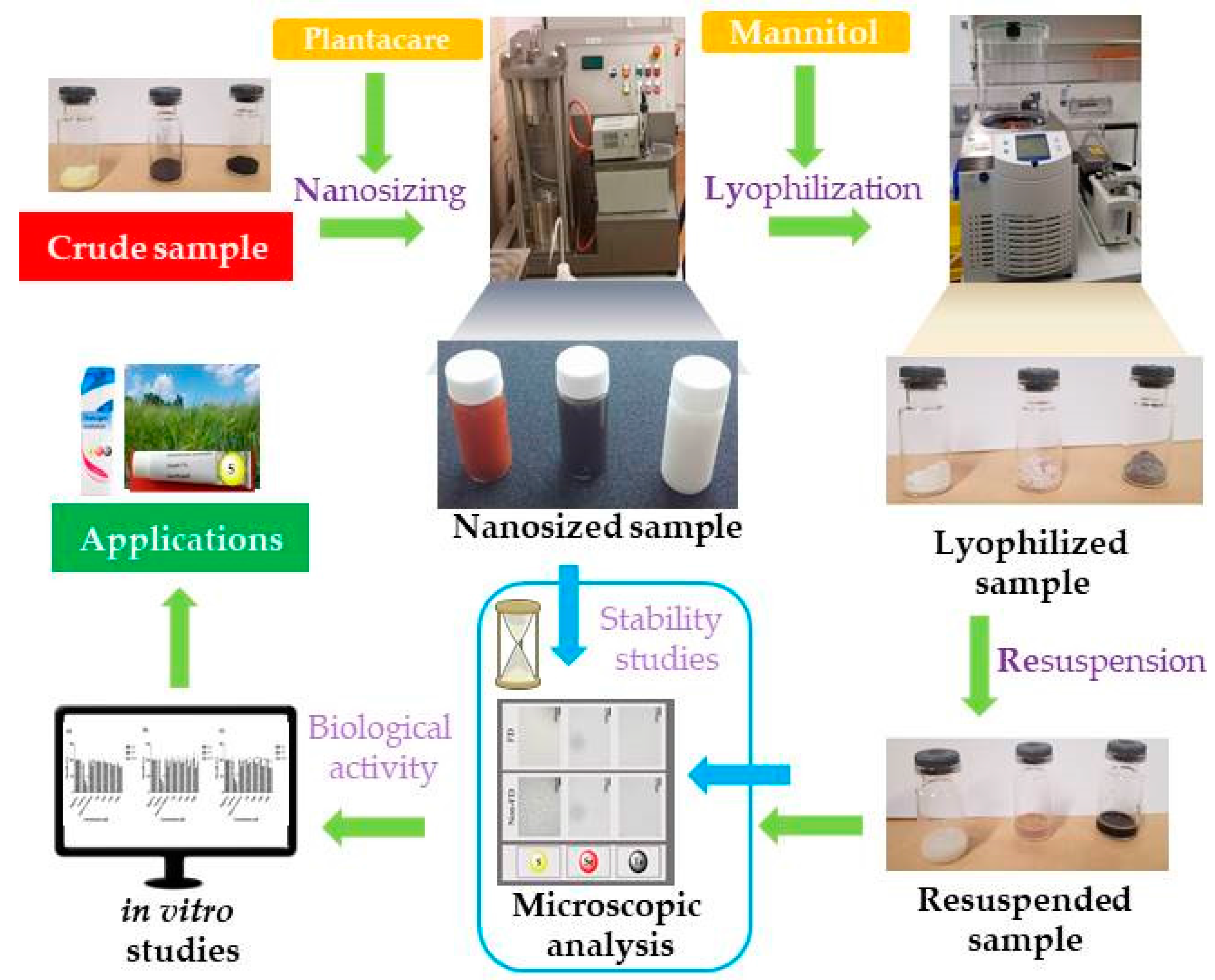 Antioxidants 07 00023 g011