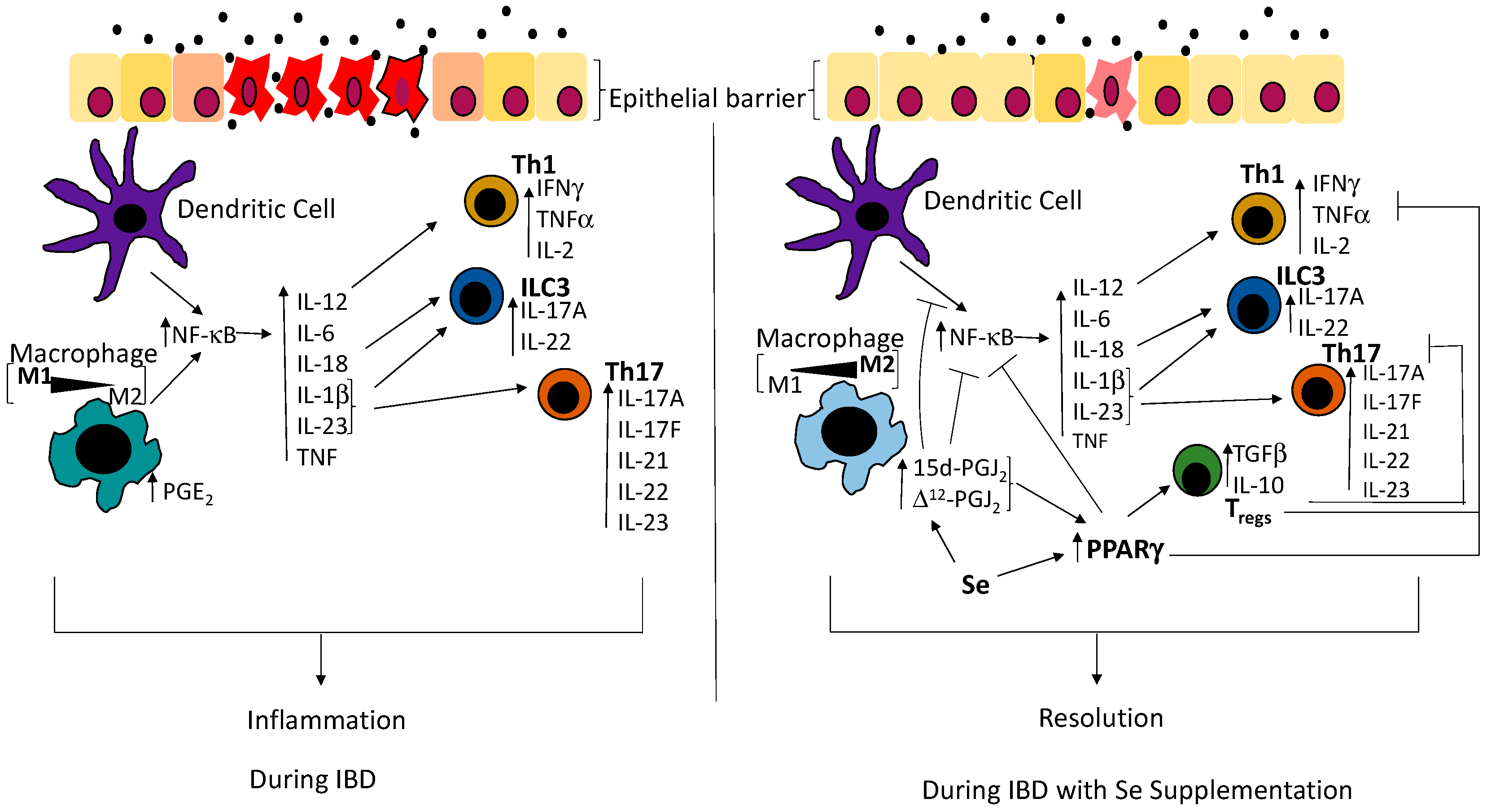Antioxidants 07 00036 g001