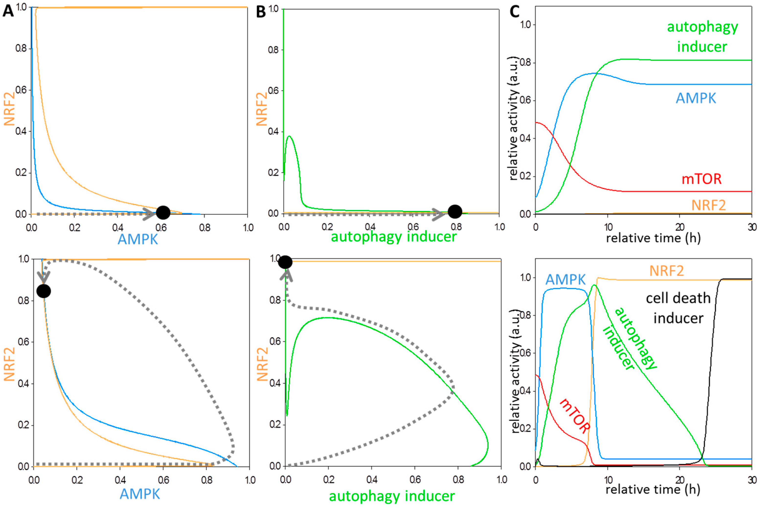 Antioxidants 07 00039 g002