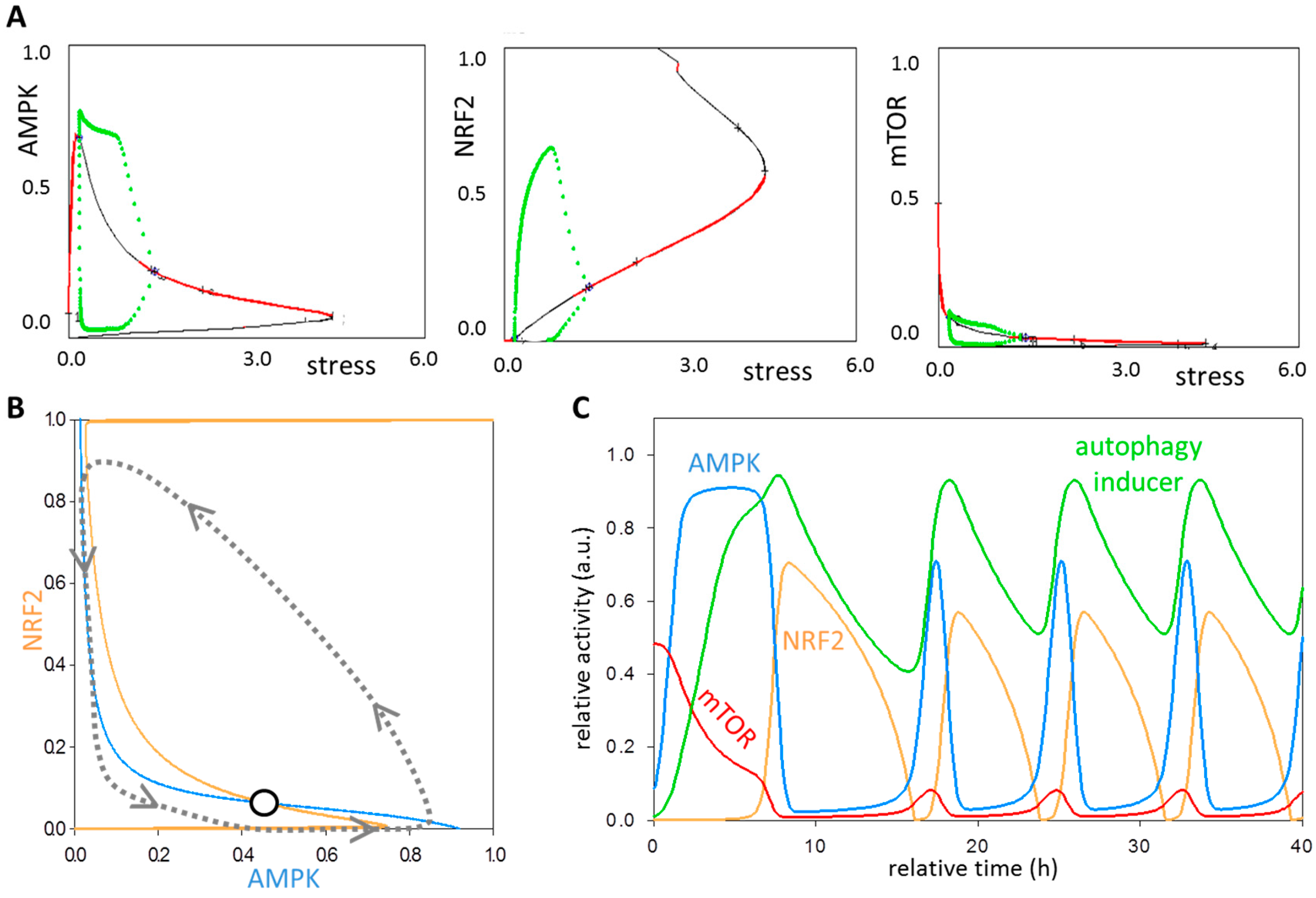 Antioxidants 07 00039 g004