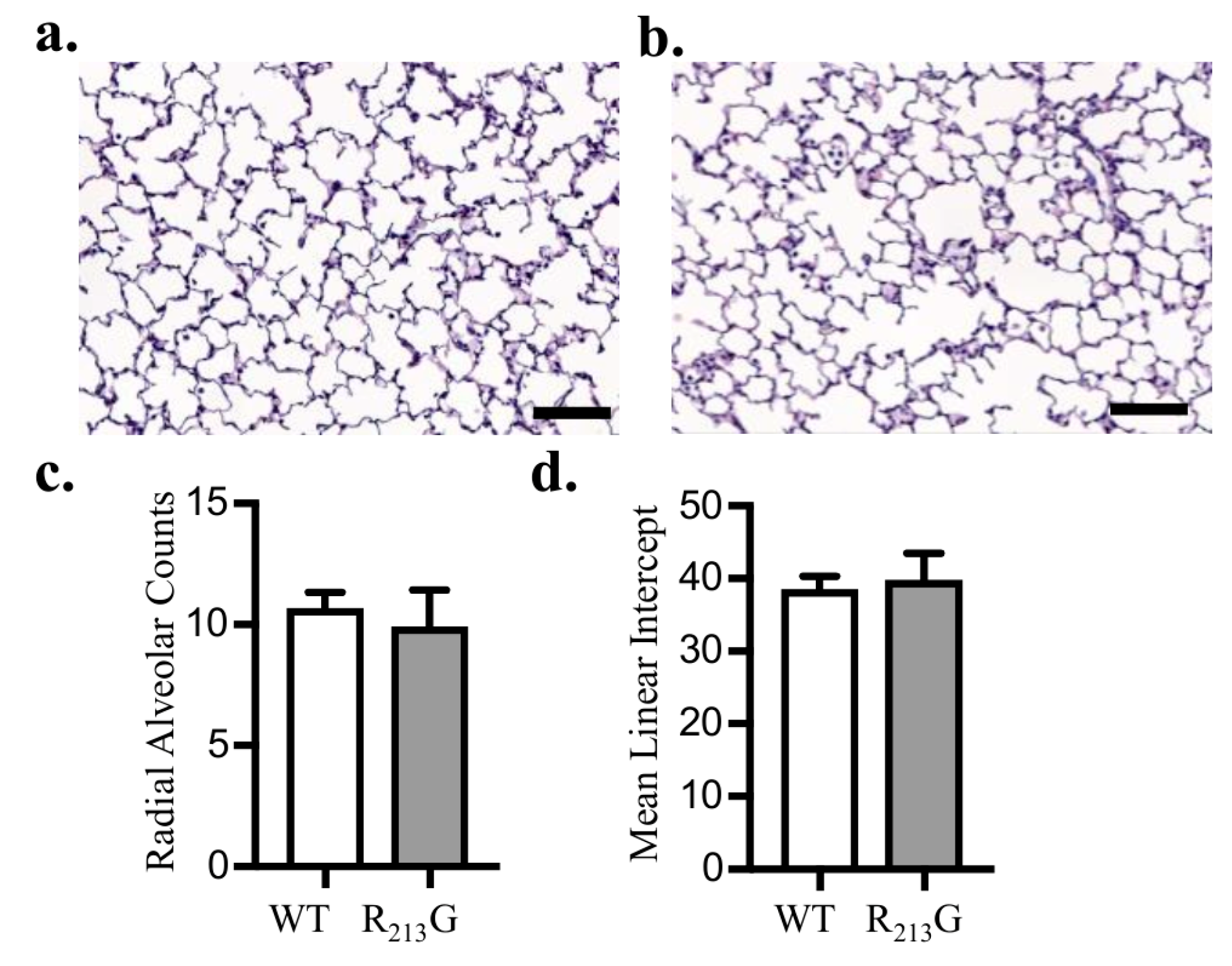 Antioxidants 07 00042 g003