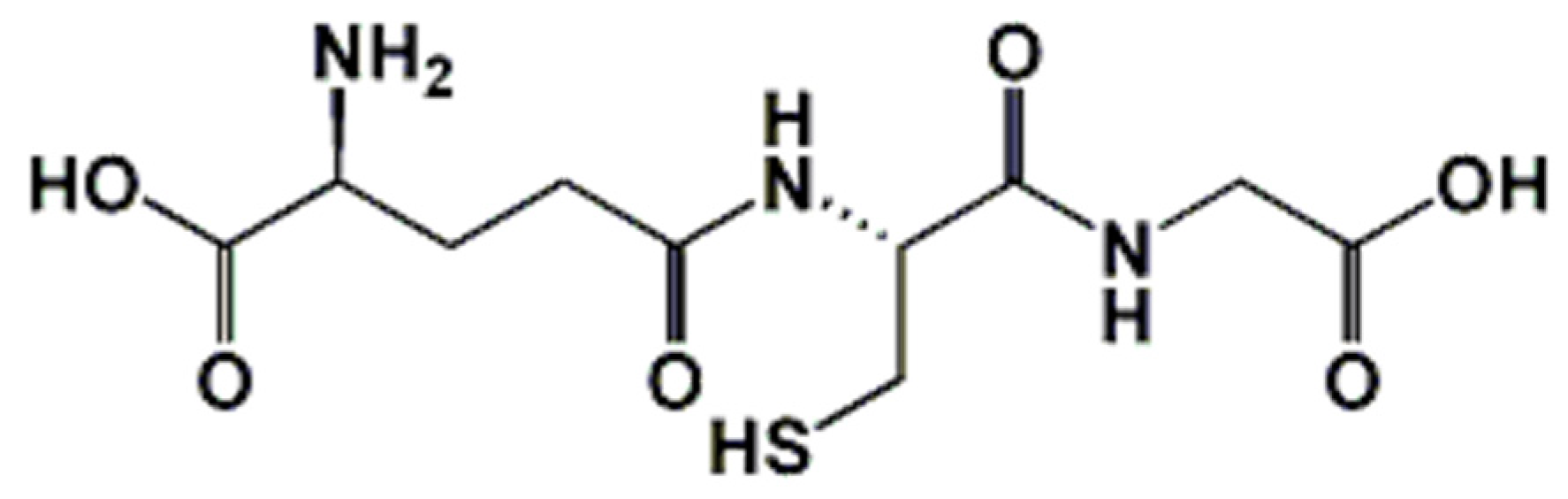 Antioxidants 07 00062 g001