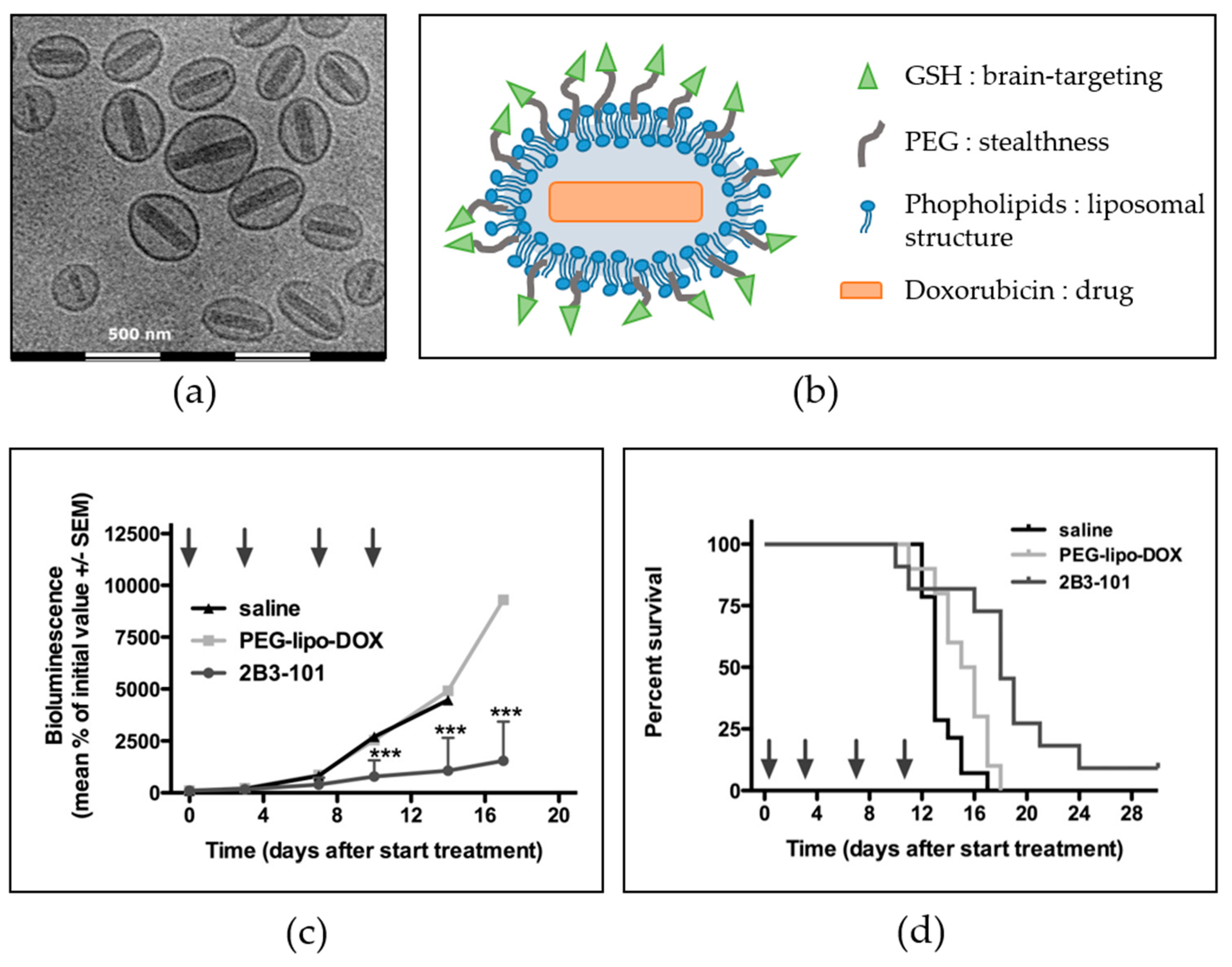 Antioxidants 07 00062 g005