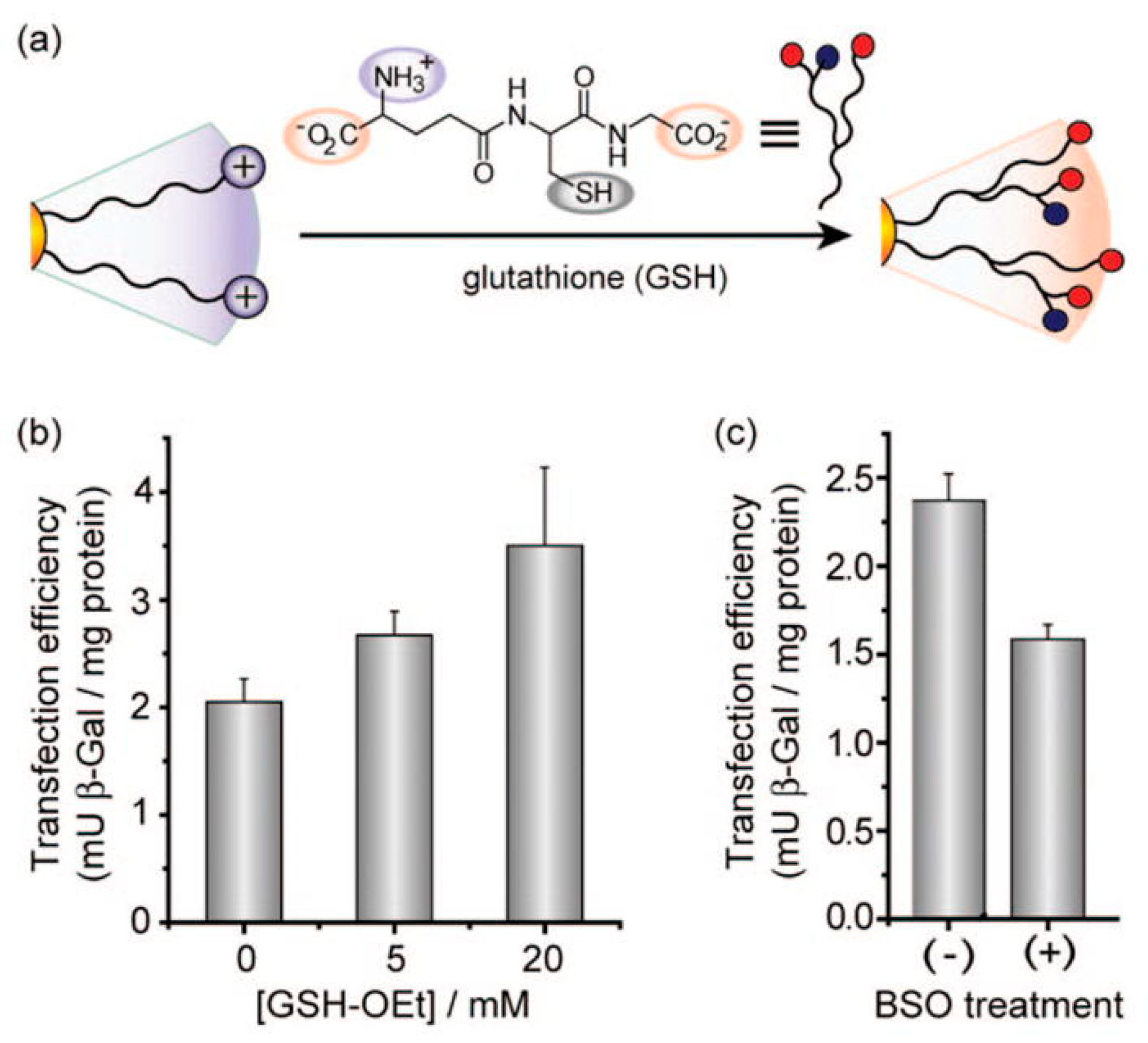 Antioxidants 07 00062 g006