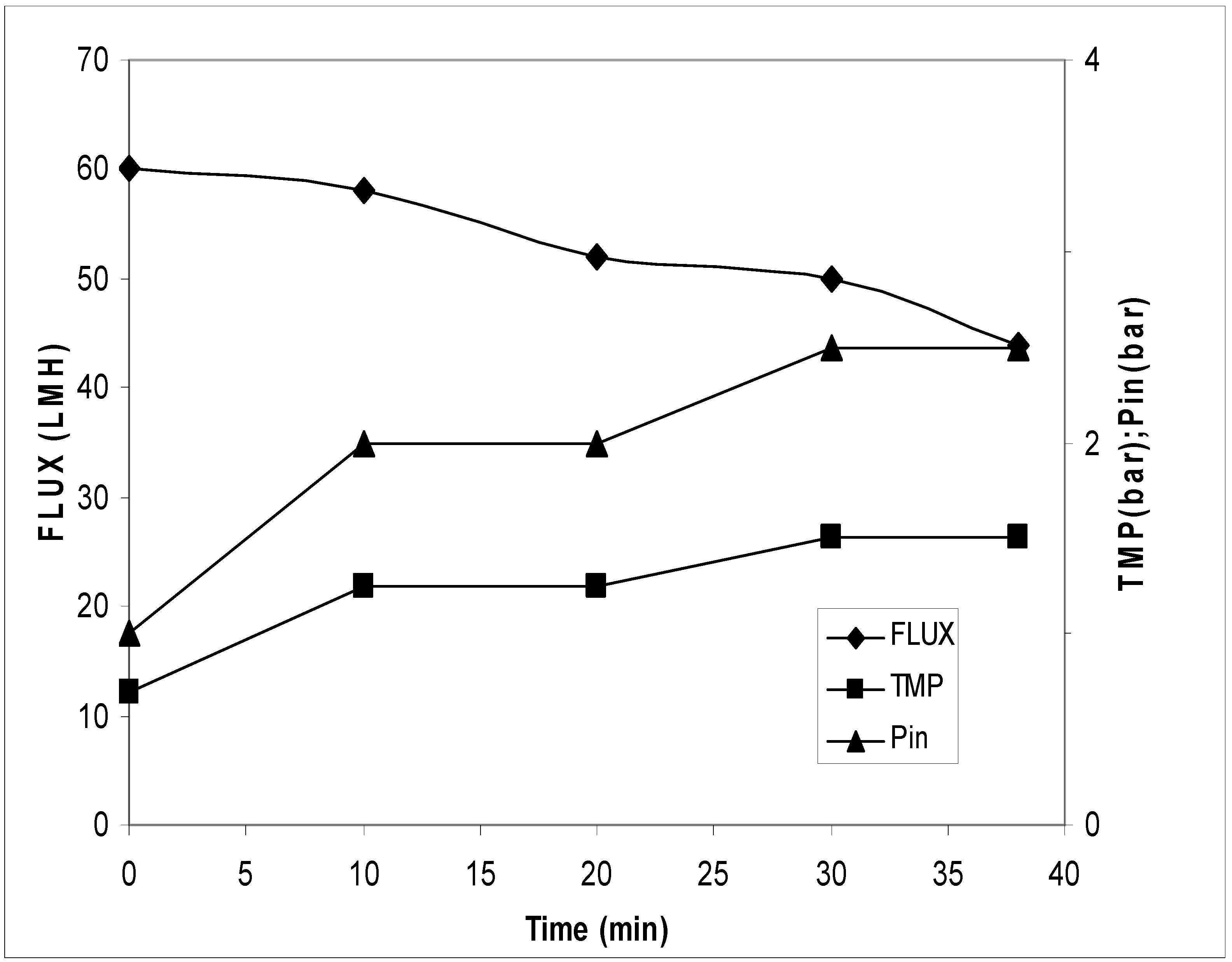 Antioxidants 07 00072 g008