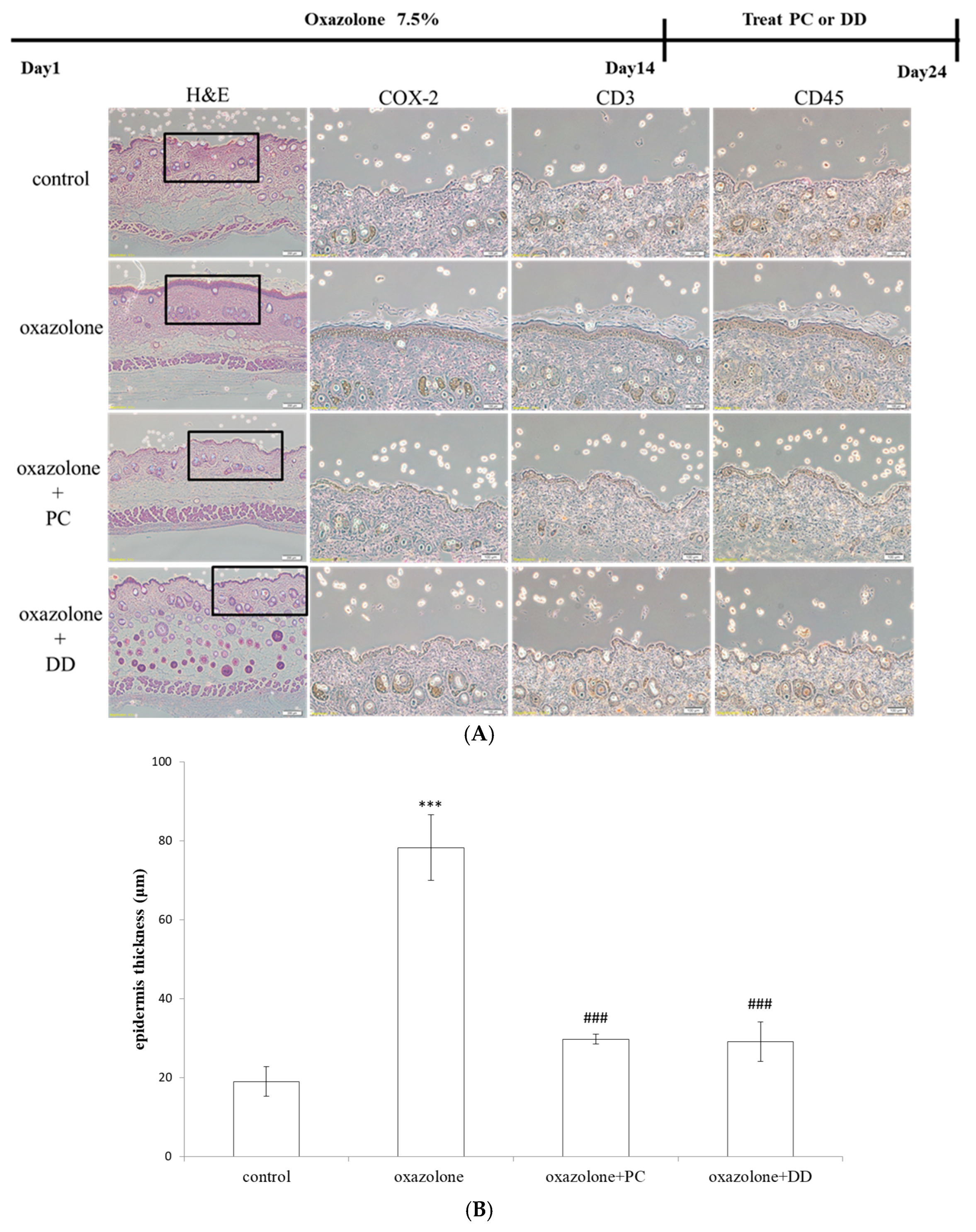Antioxidants 07 00077 g001