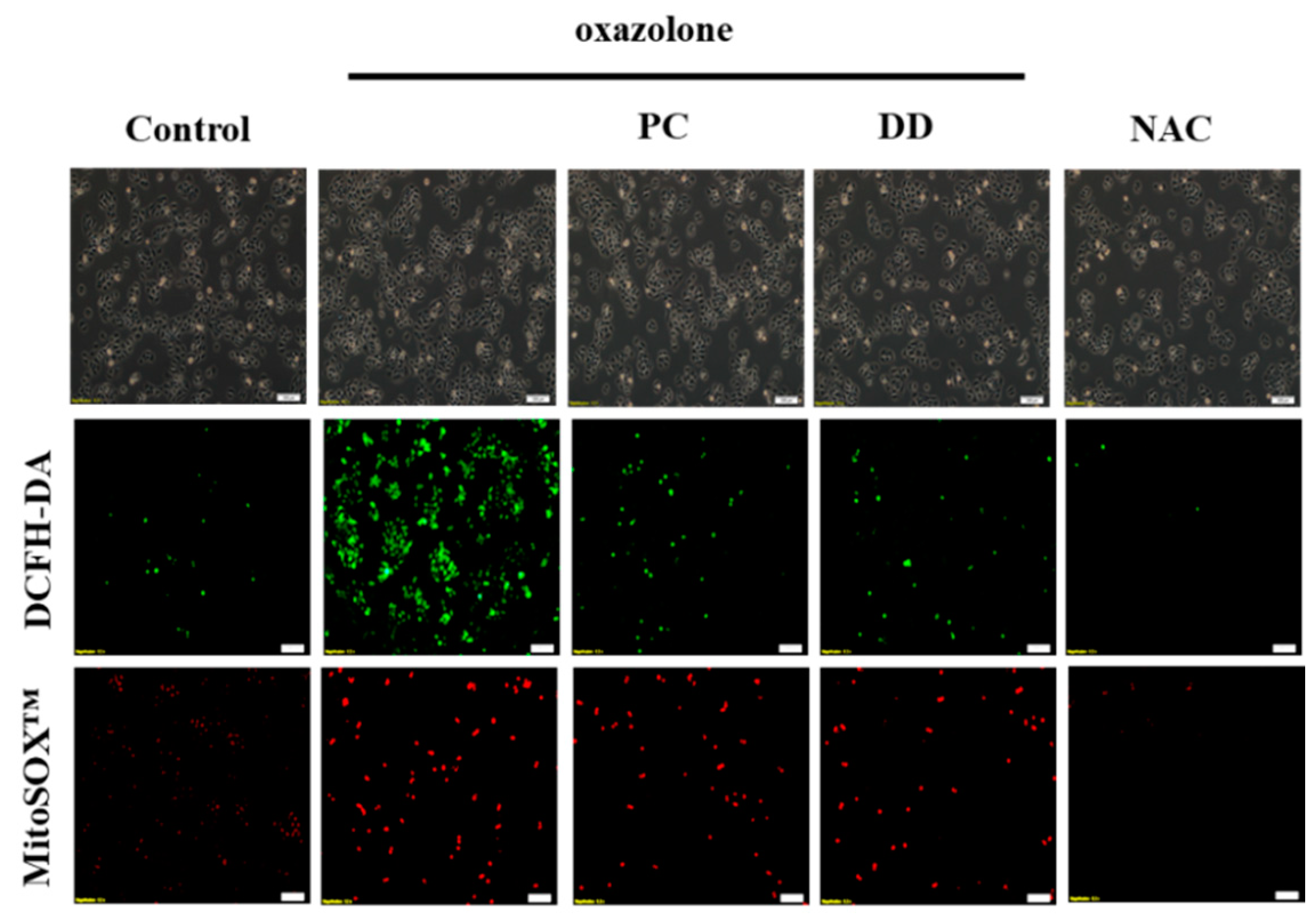 Antioxidants 07 00077 g002