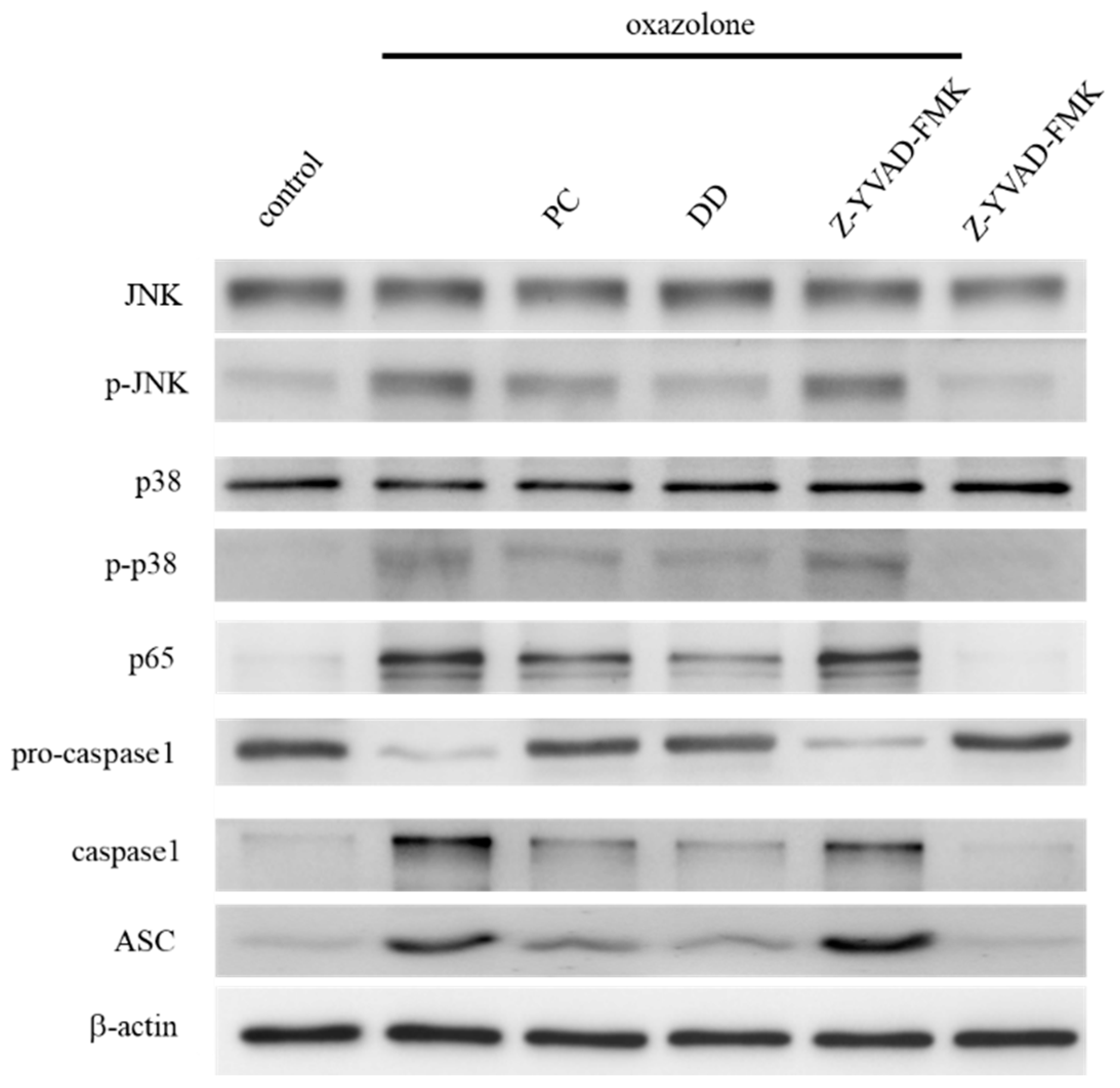 Antioxidants 07 00077 g003