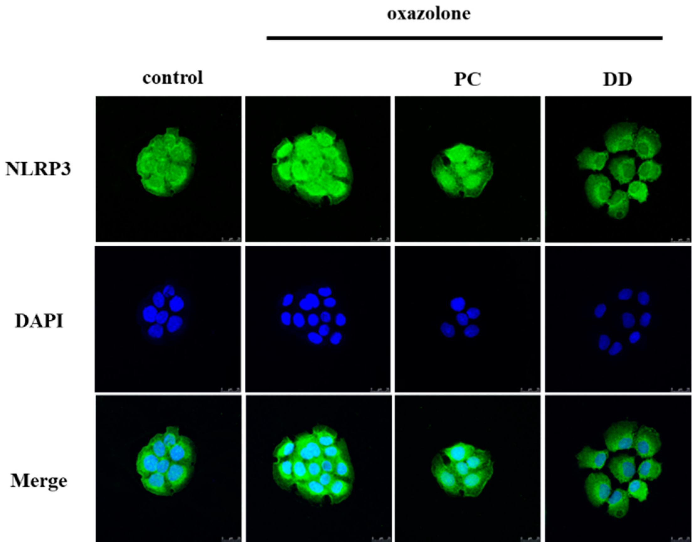 Antioxidants 07 00077 g004