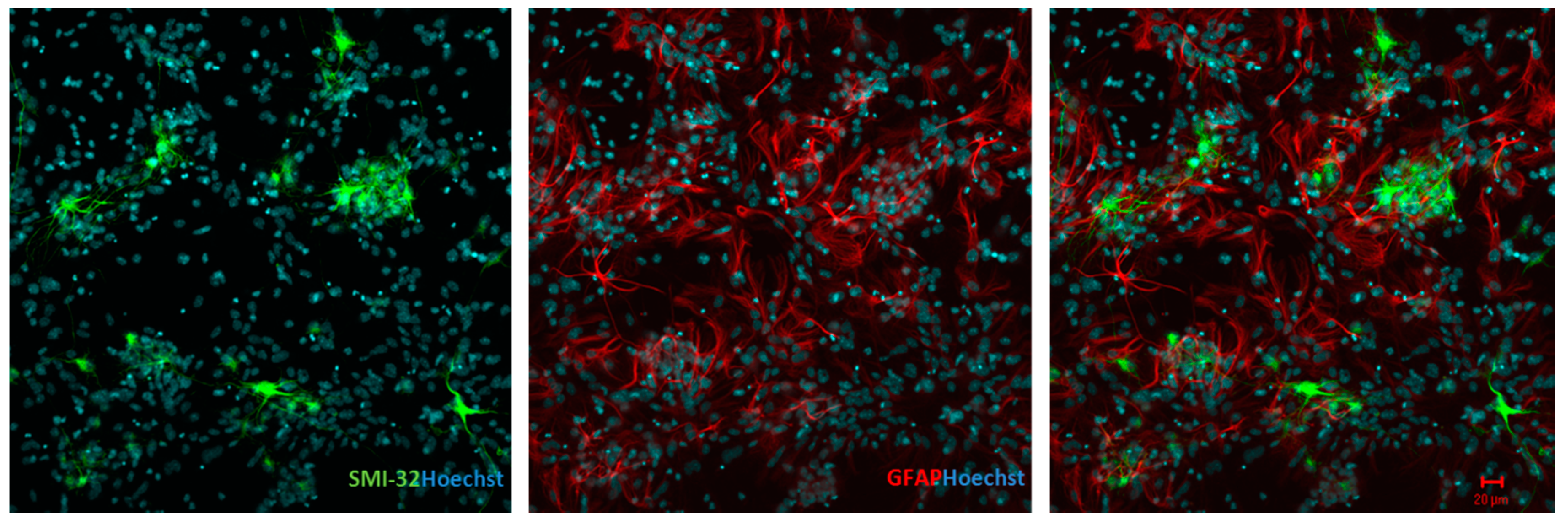Antioxidants 07 00087 g001