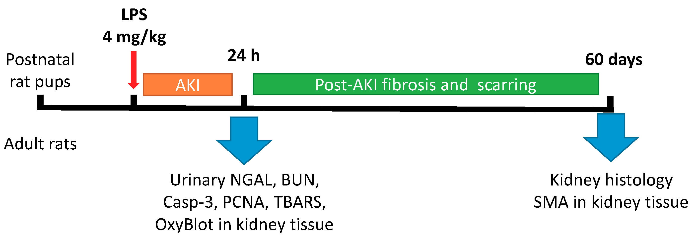 Antioxidants 07 00105 g001