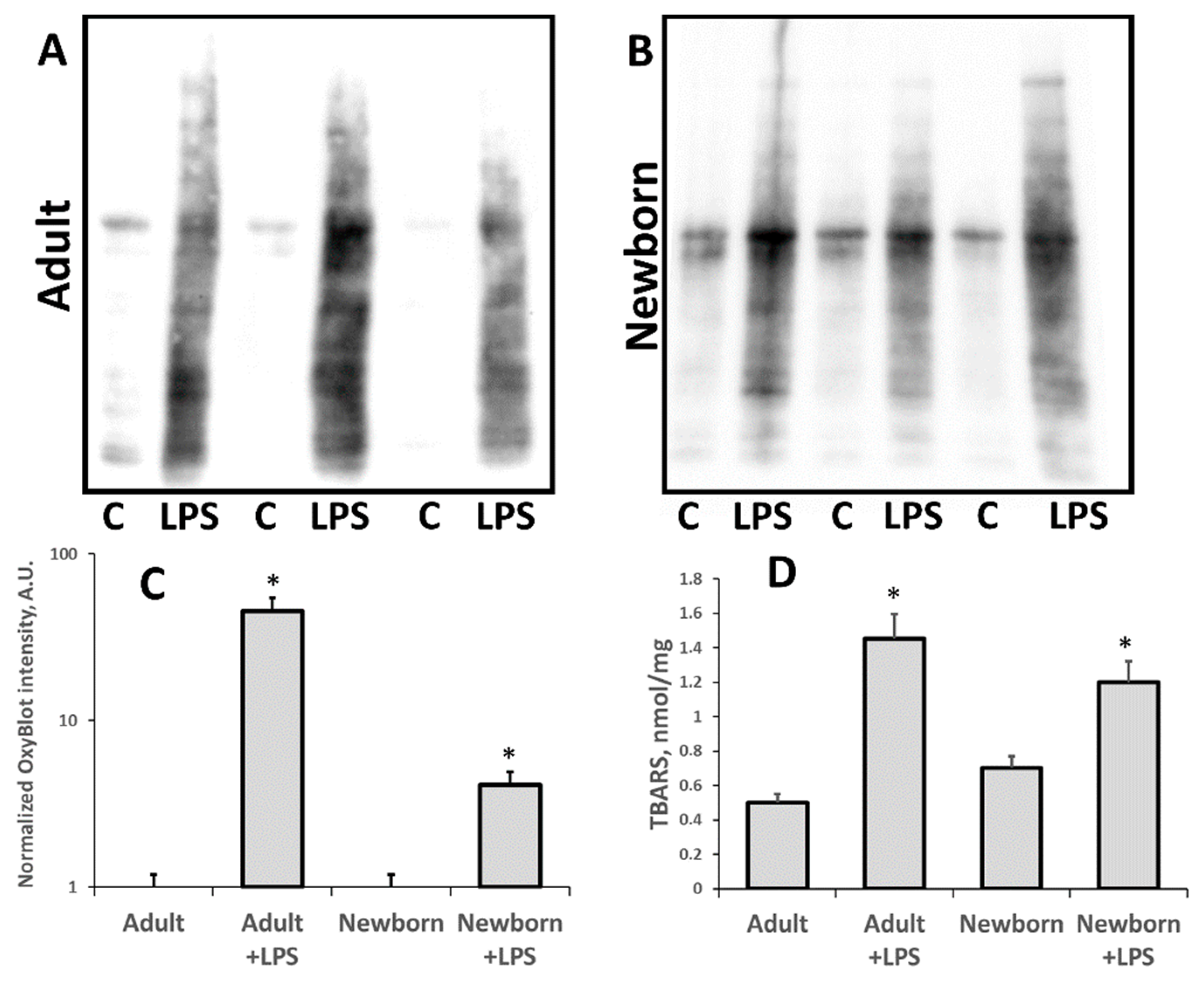 Antioxidants 07 00105 g002
