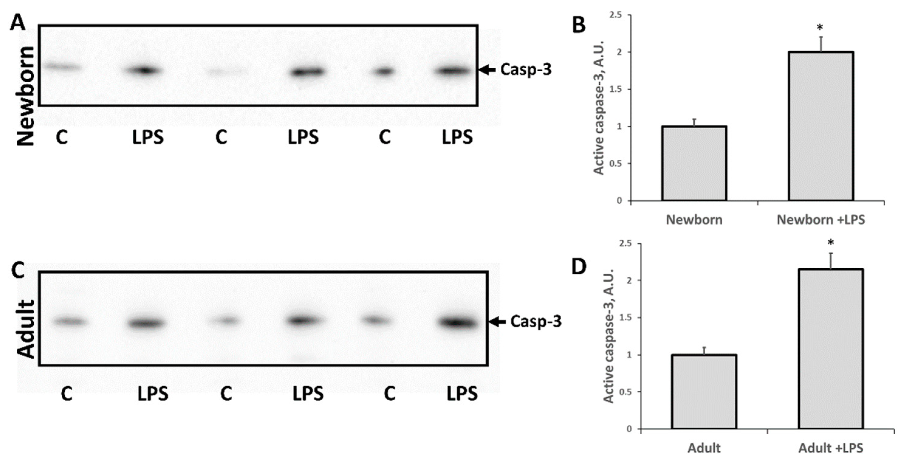 Antioxidants 07 00105 g003