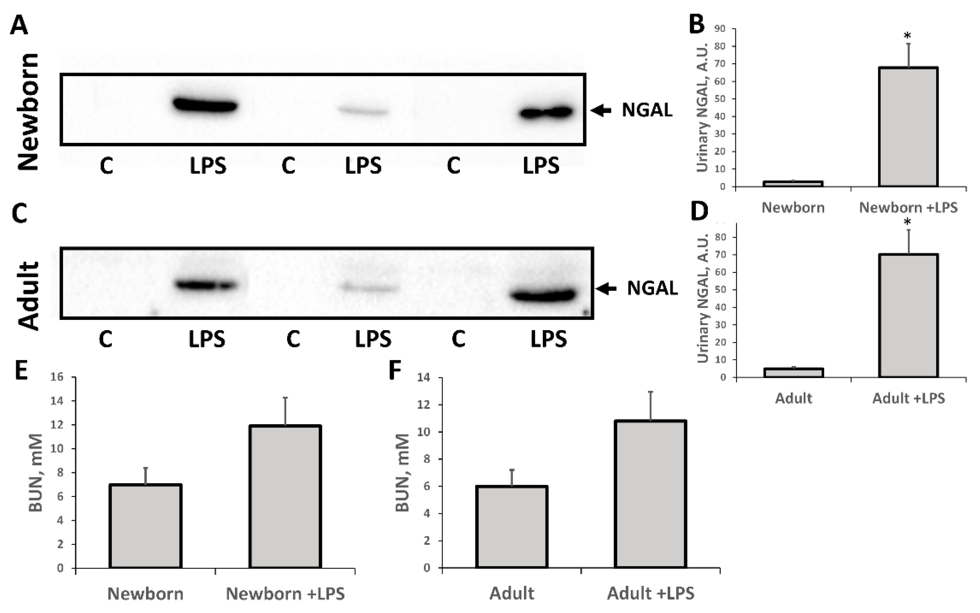 Antioxidants 07 00105 g004