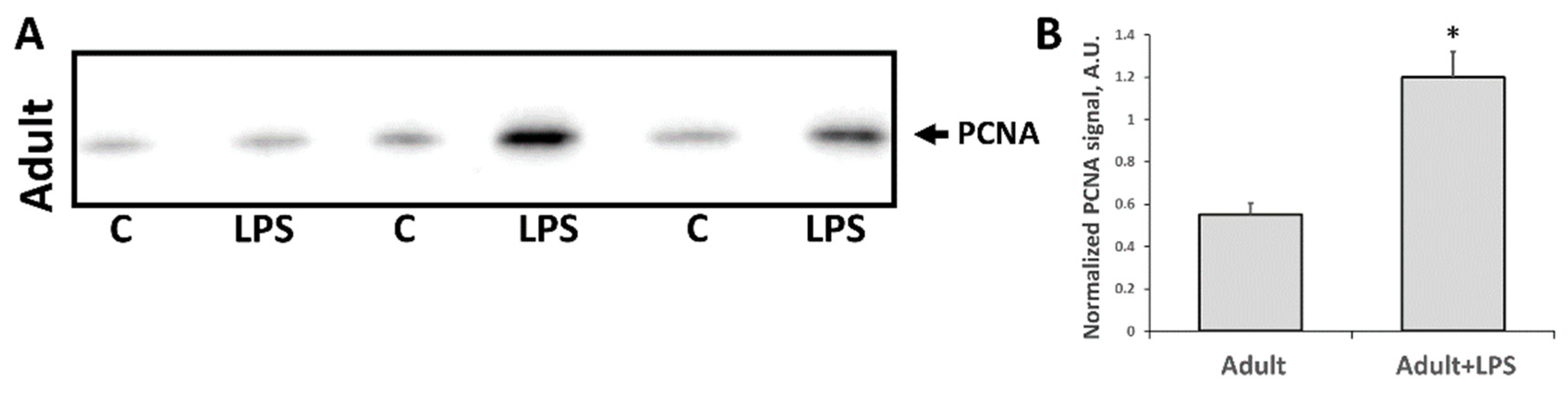 Antioxidants 07 00105 g005a