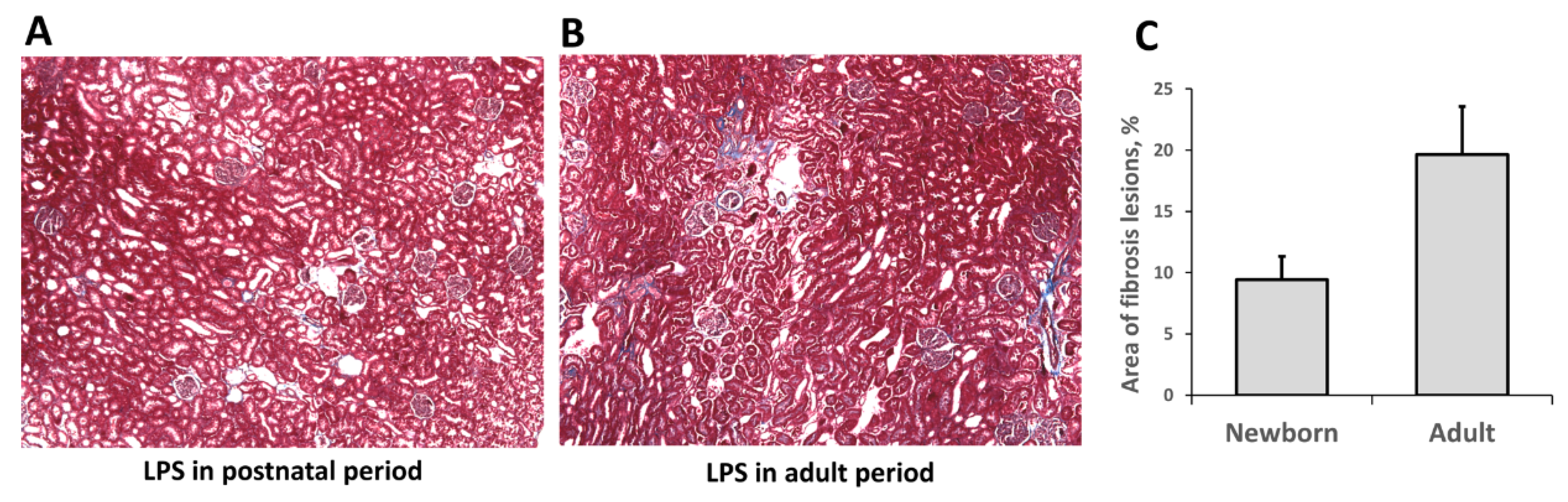 Antioxidants 07 00105 g006