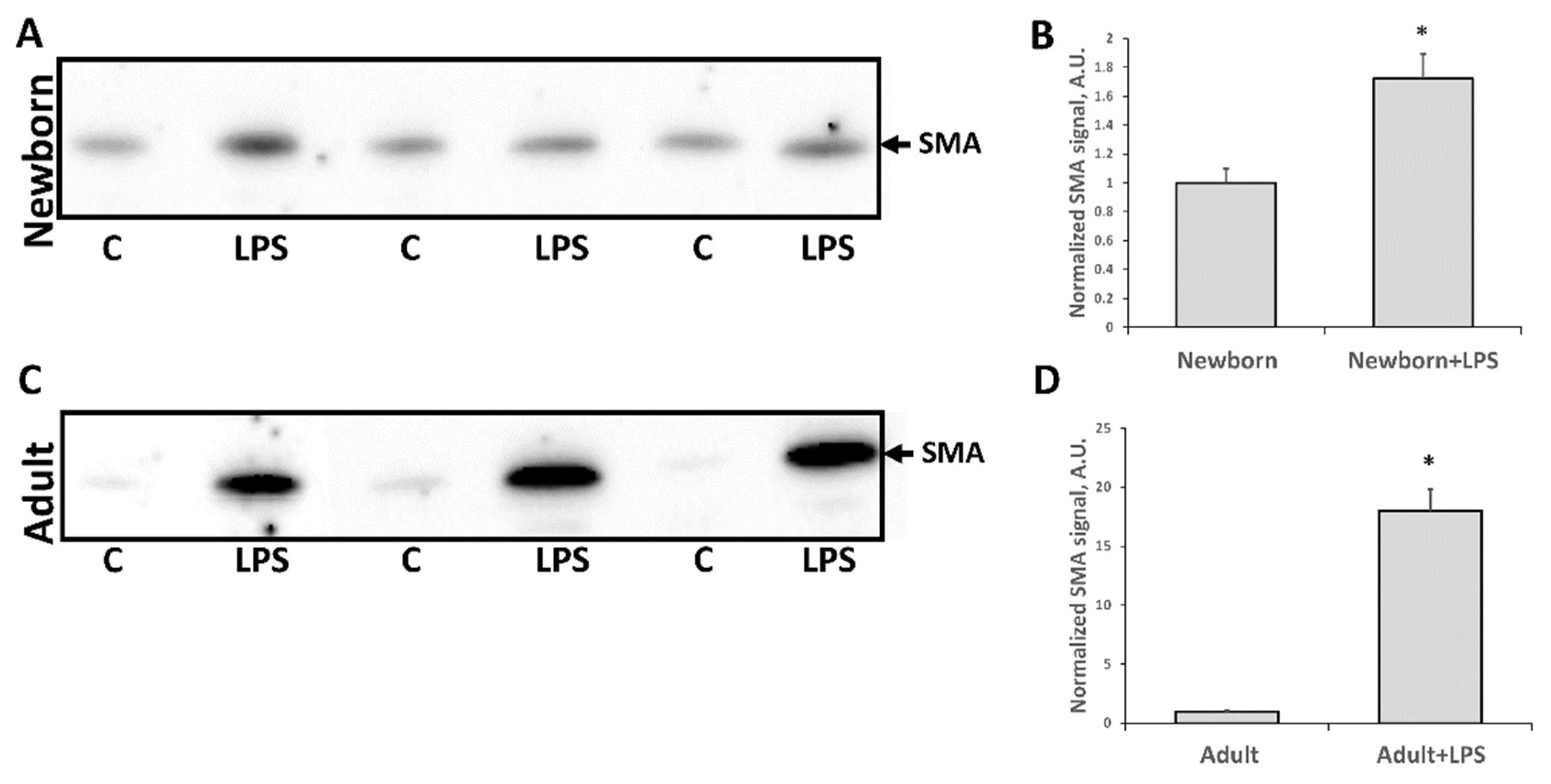 Antioxidants 07 00105 g007