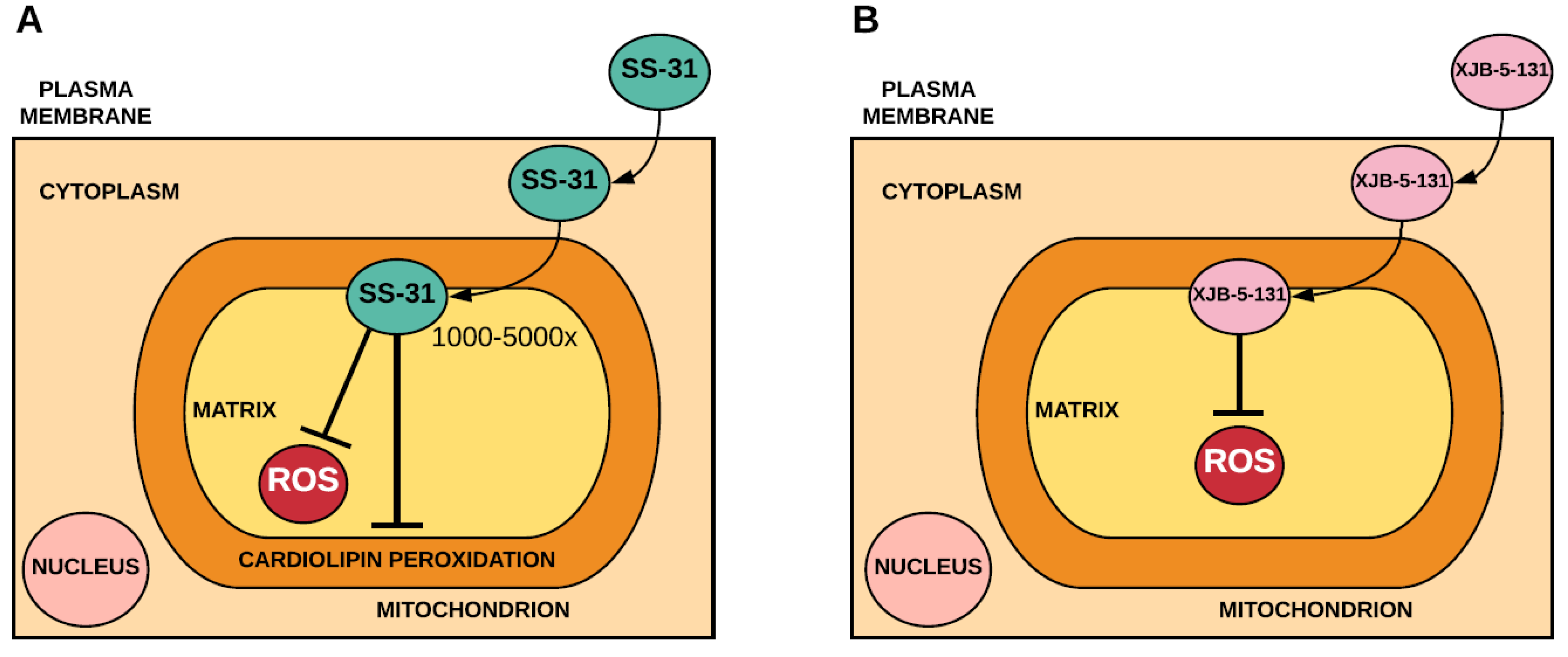 Antioxidants 07 00107 g002