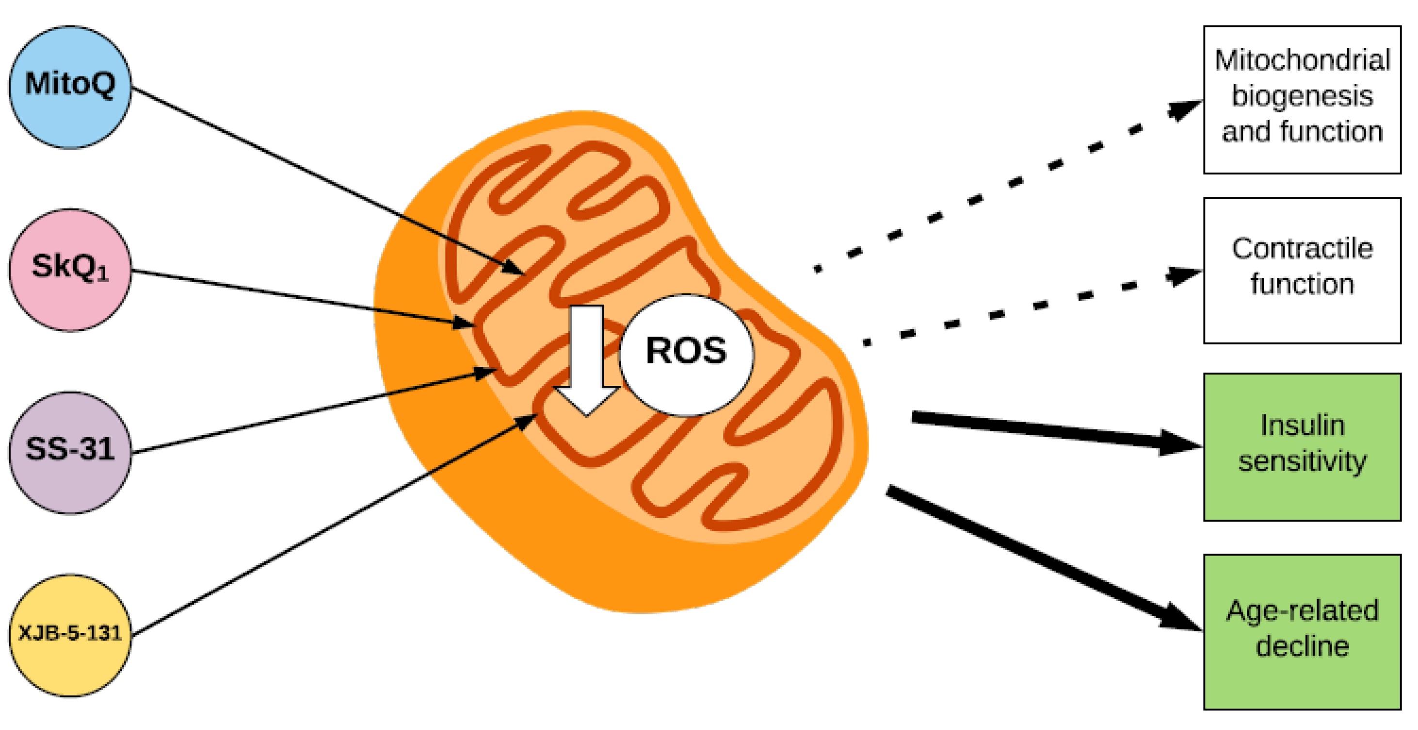 Antioxidants 07 00107 g003