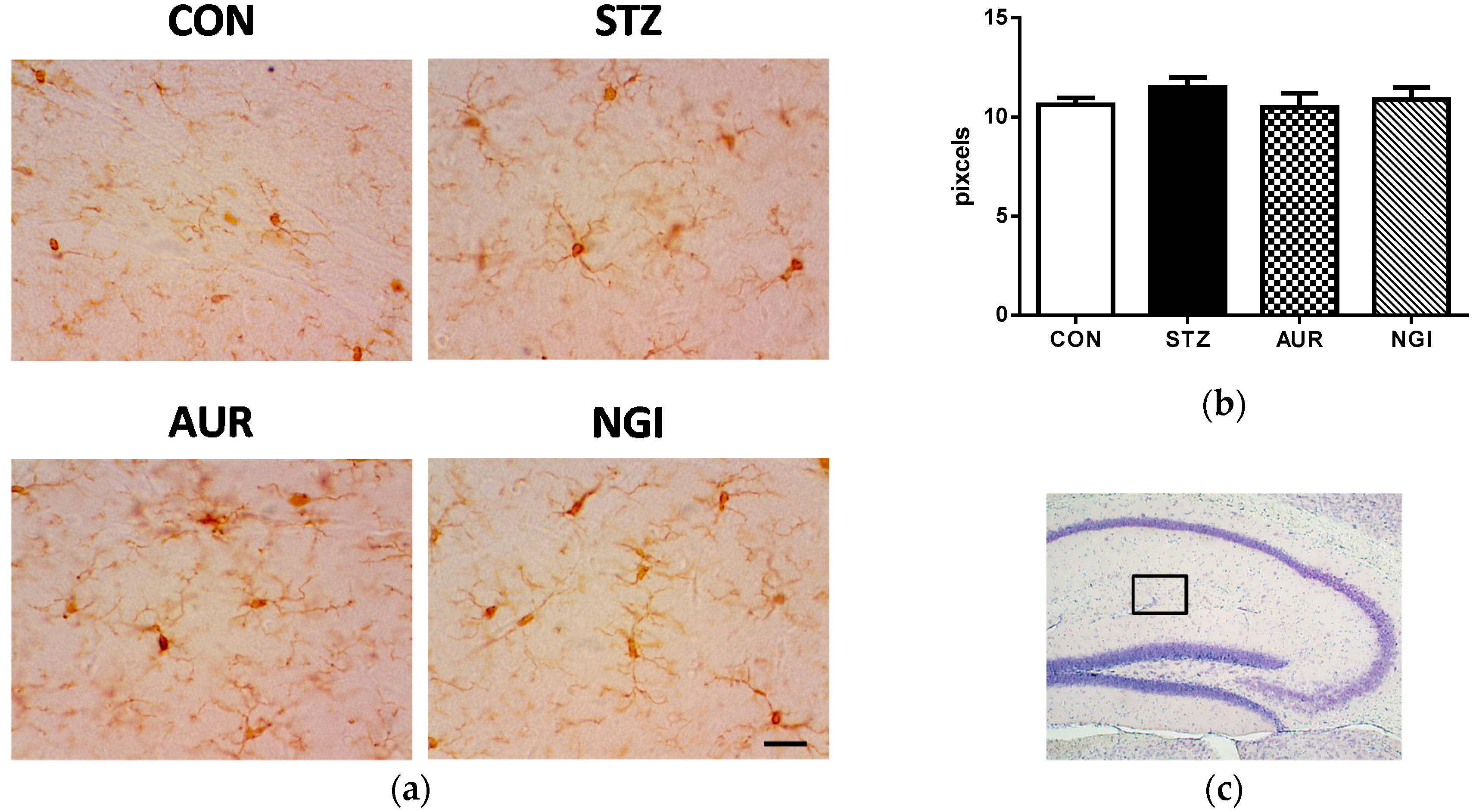 Antioxidants 07 00109 g002