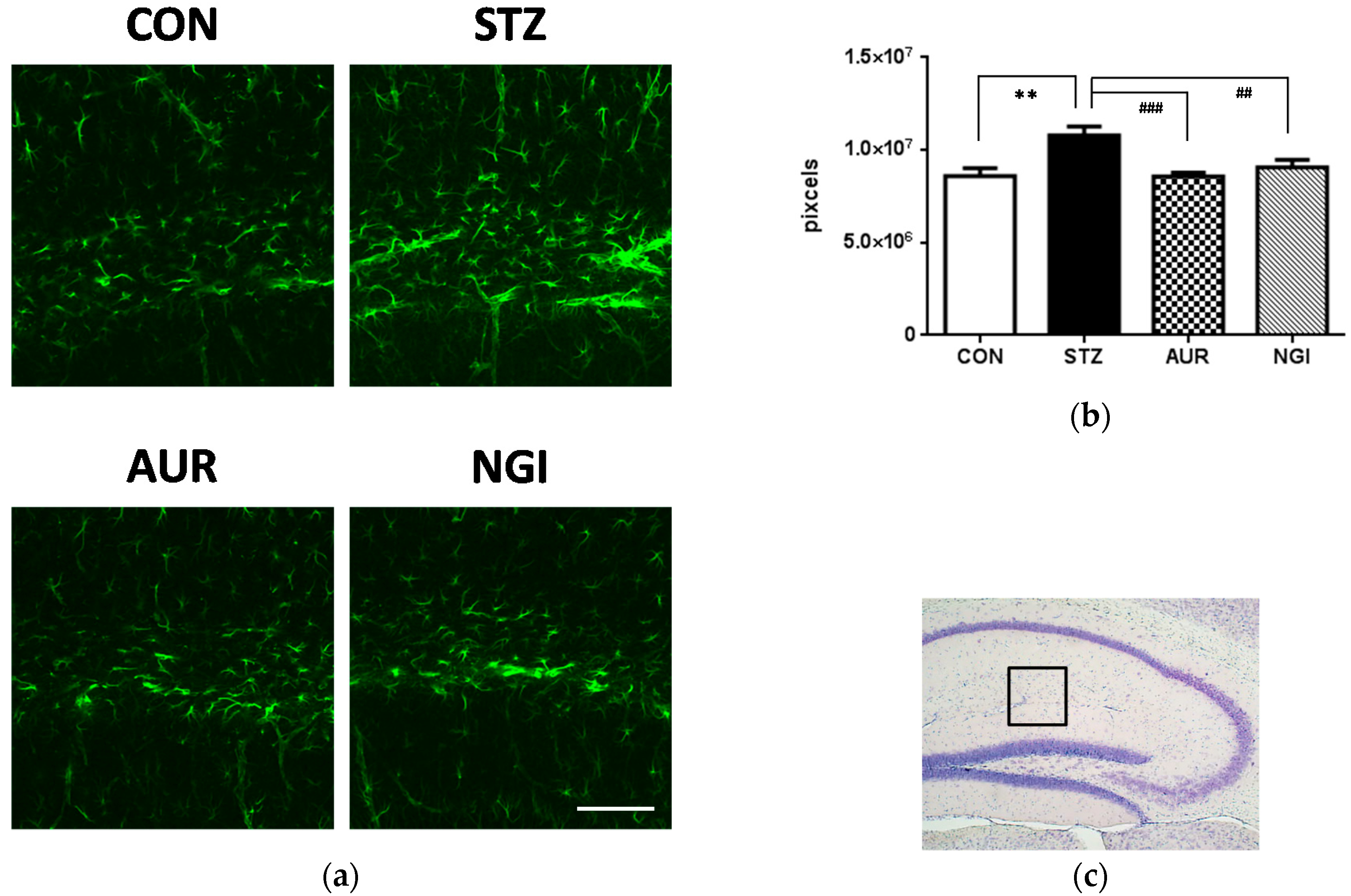 Antioxidants 07 00109 g003