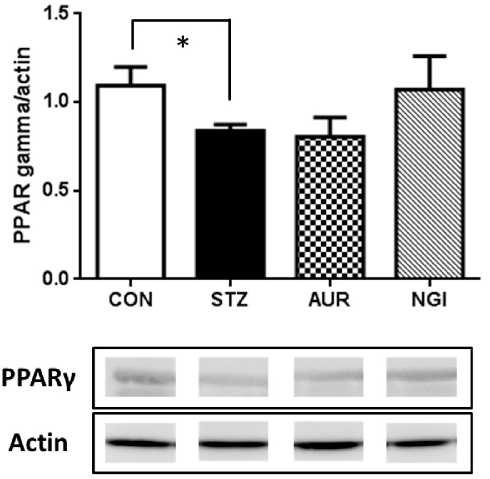 Antioxidants 07 00109 g004