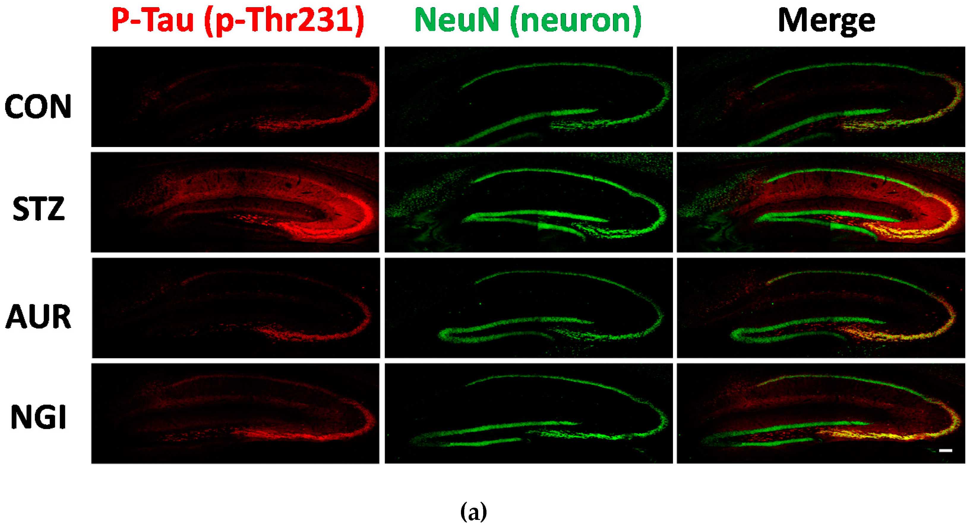 Antioxidants 07 00109 g005a
