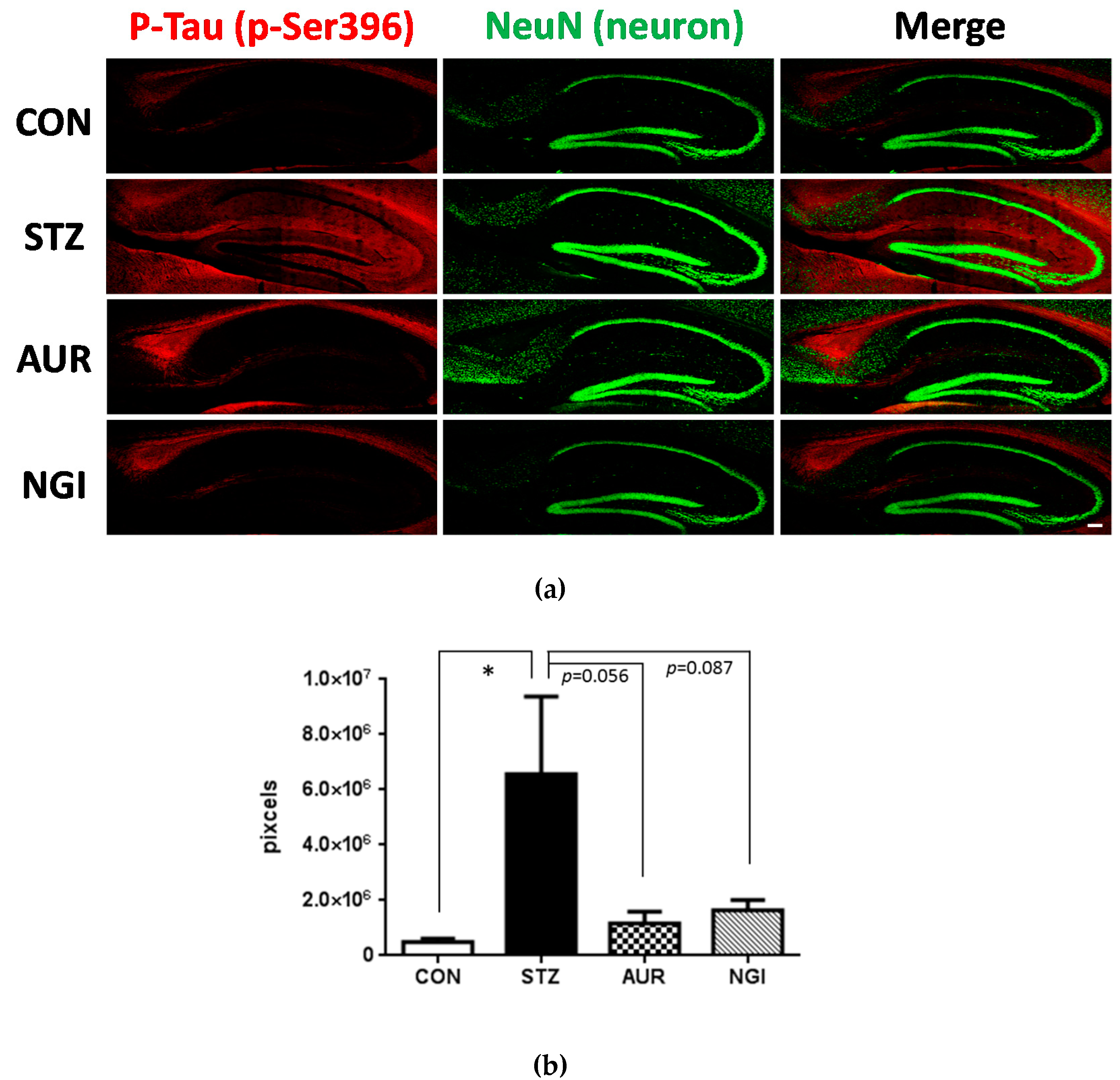 Antioxidants 07 00109 g006