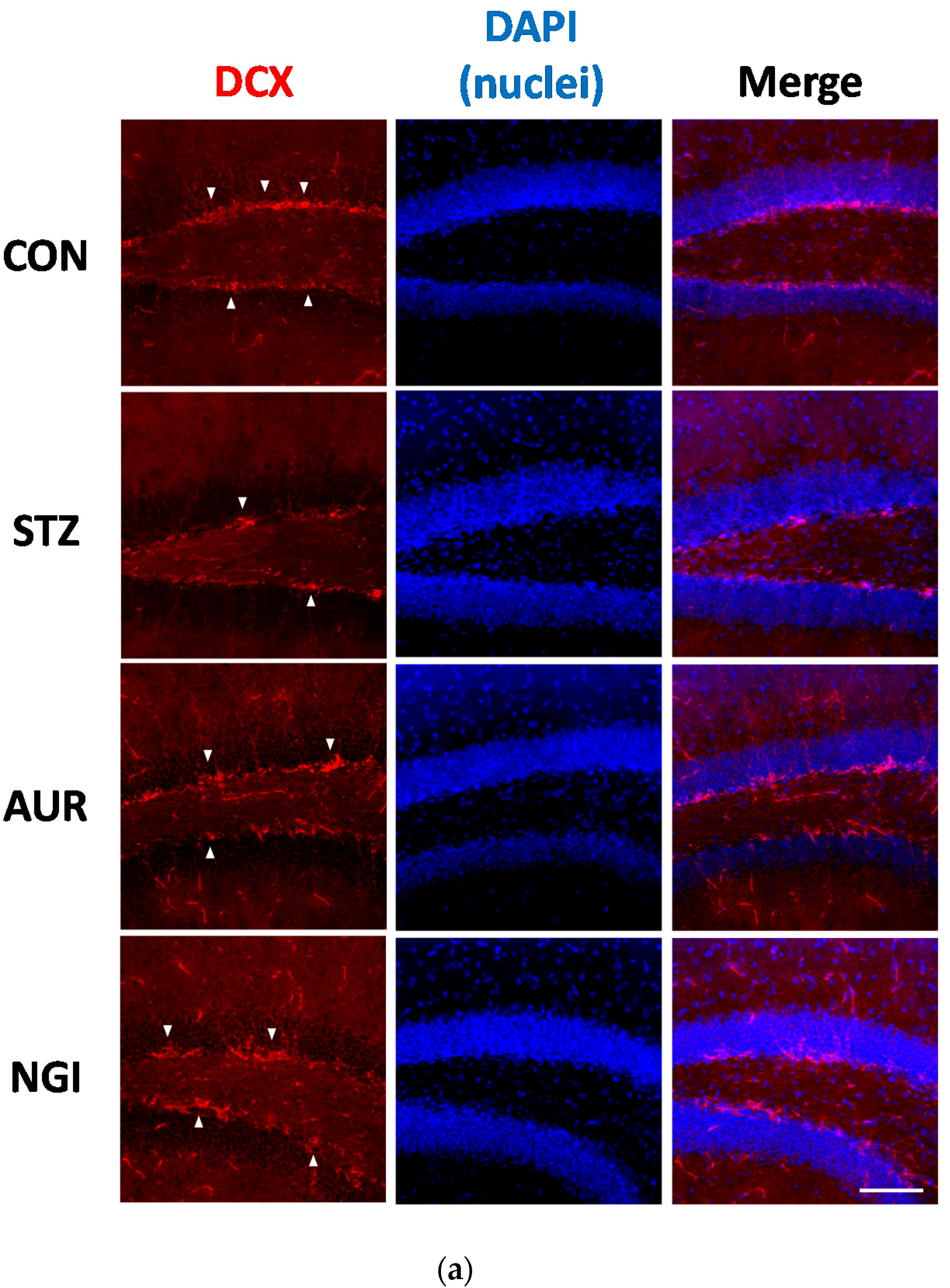 Antioxidants 07 00109 g007a