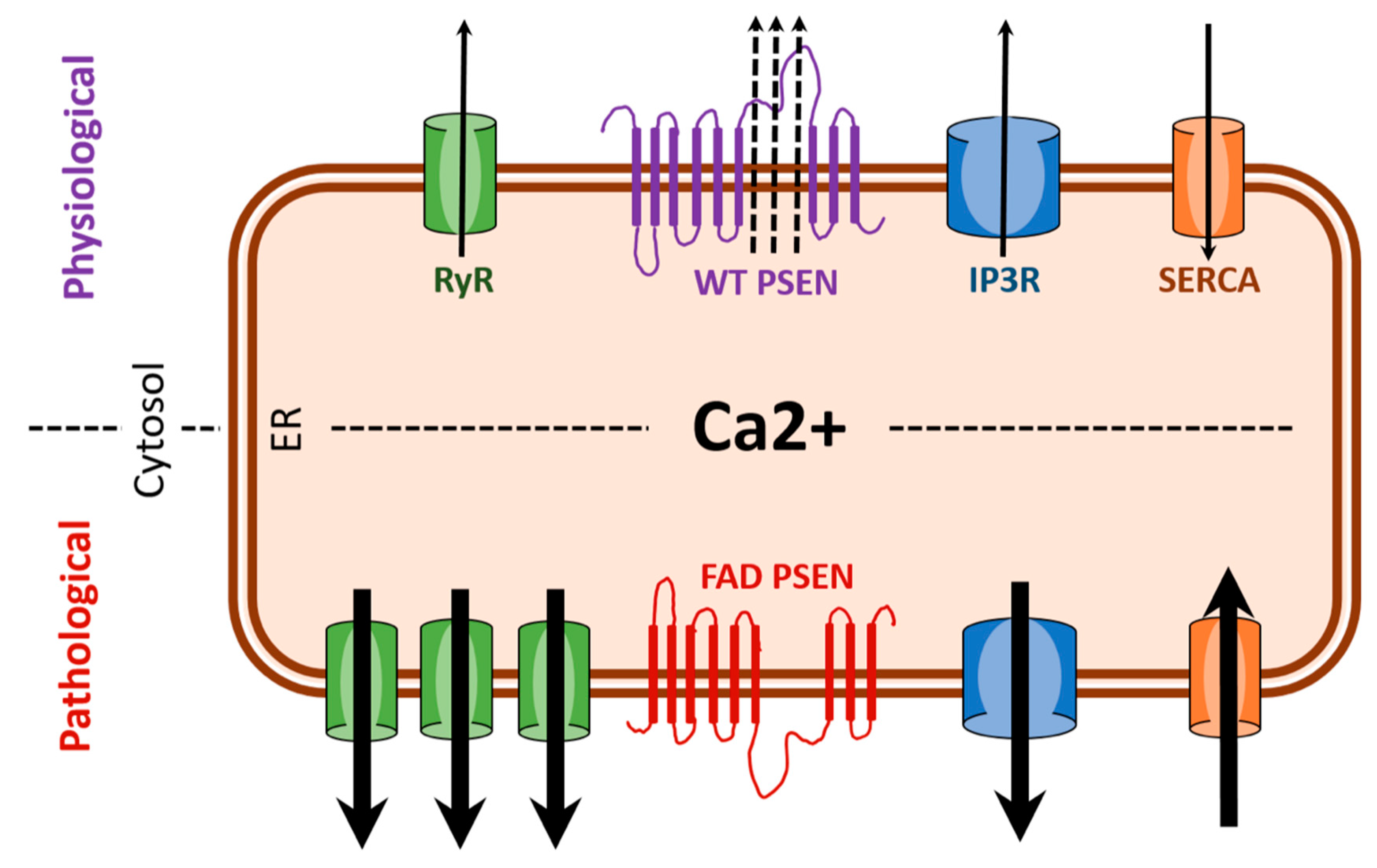 Antioxidants 07 00111 g001 Antioxidants 07 00111 g001