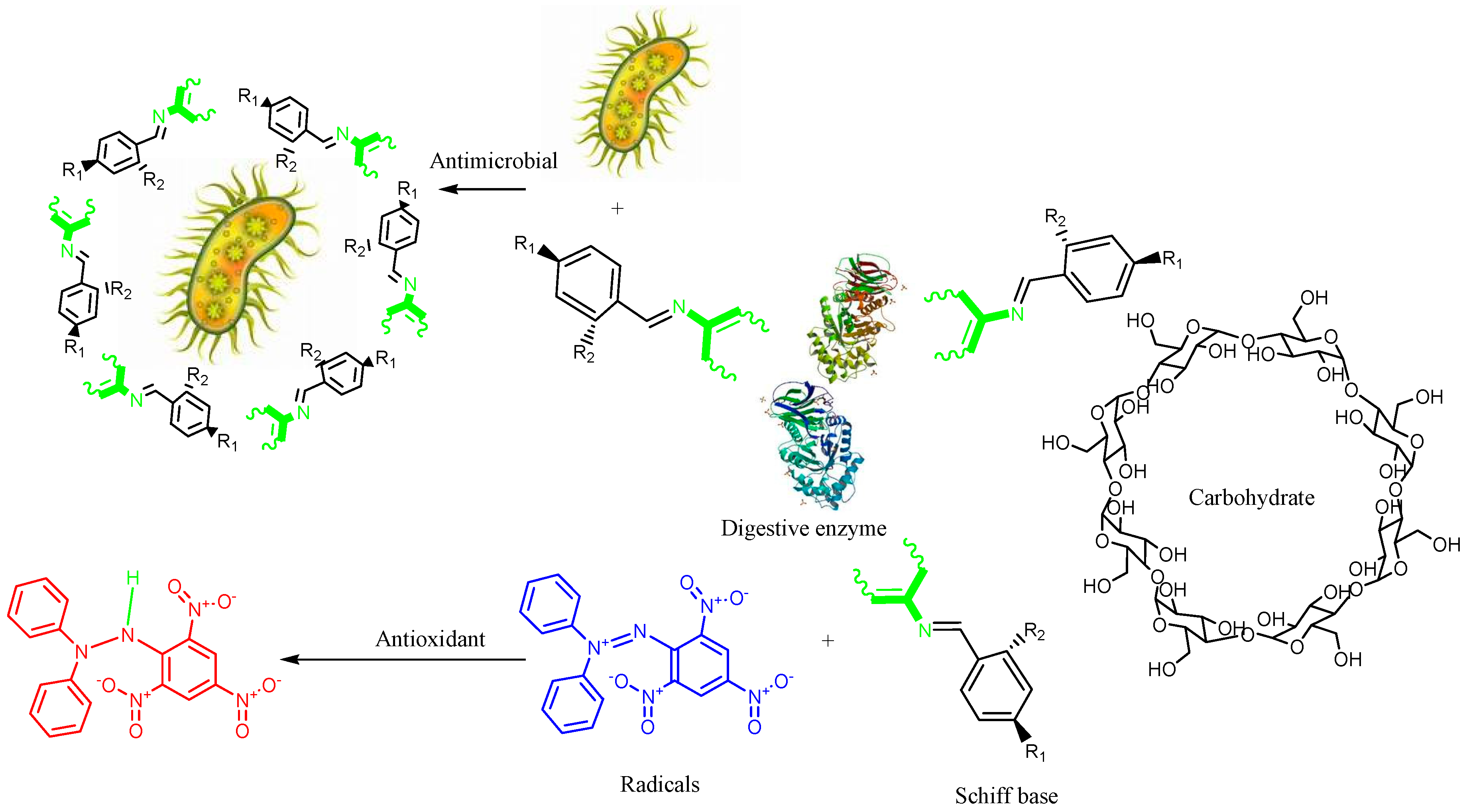 Antioxidants 07 00113 sch001