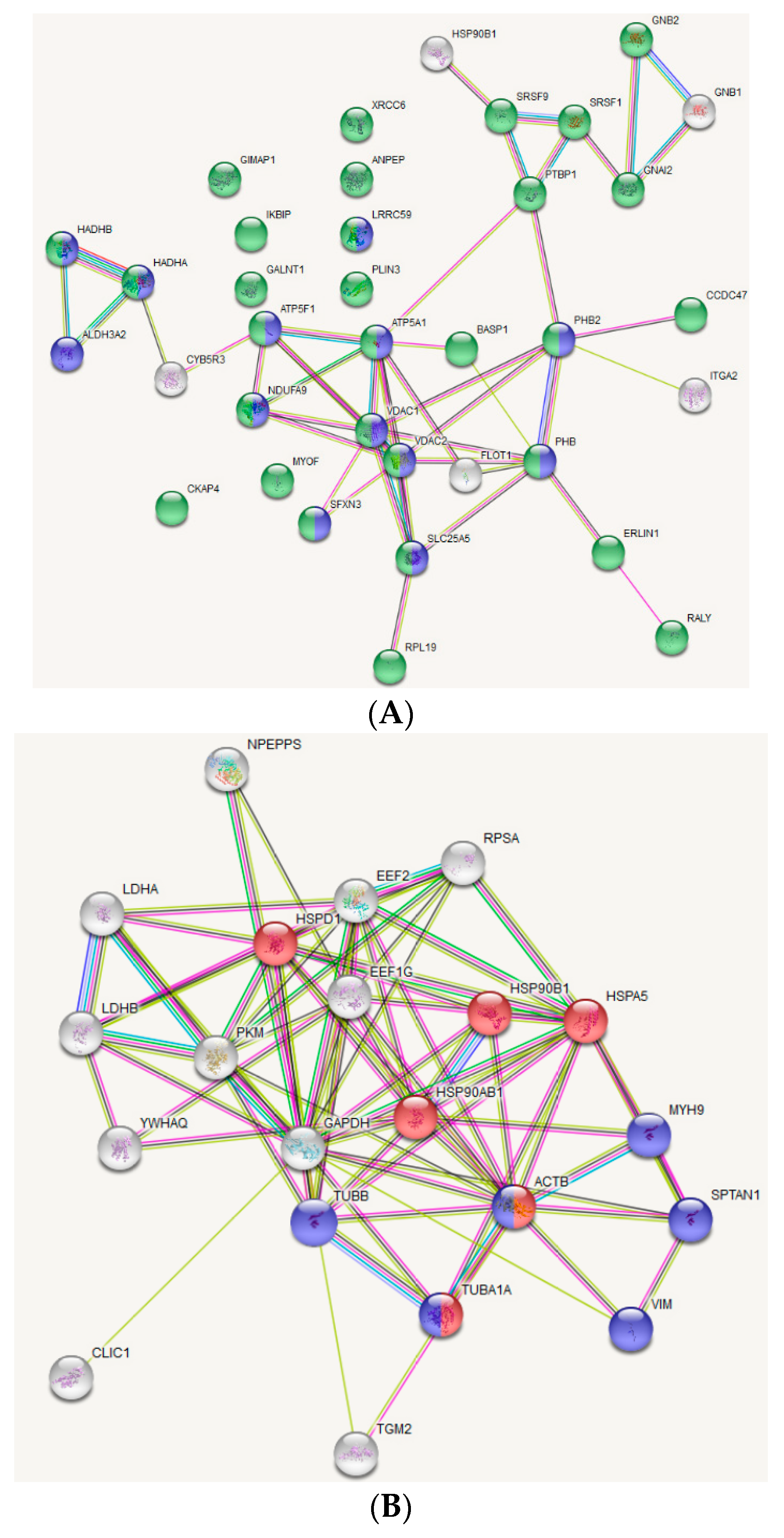 Antioxidants 07 00116 g006