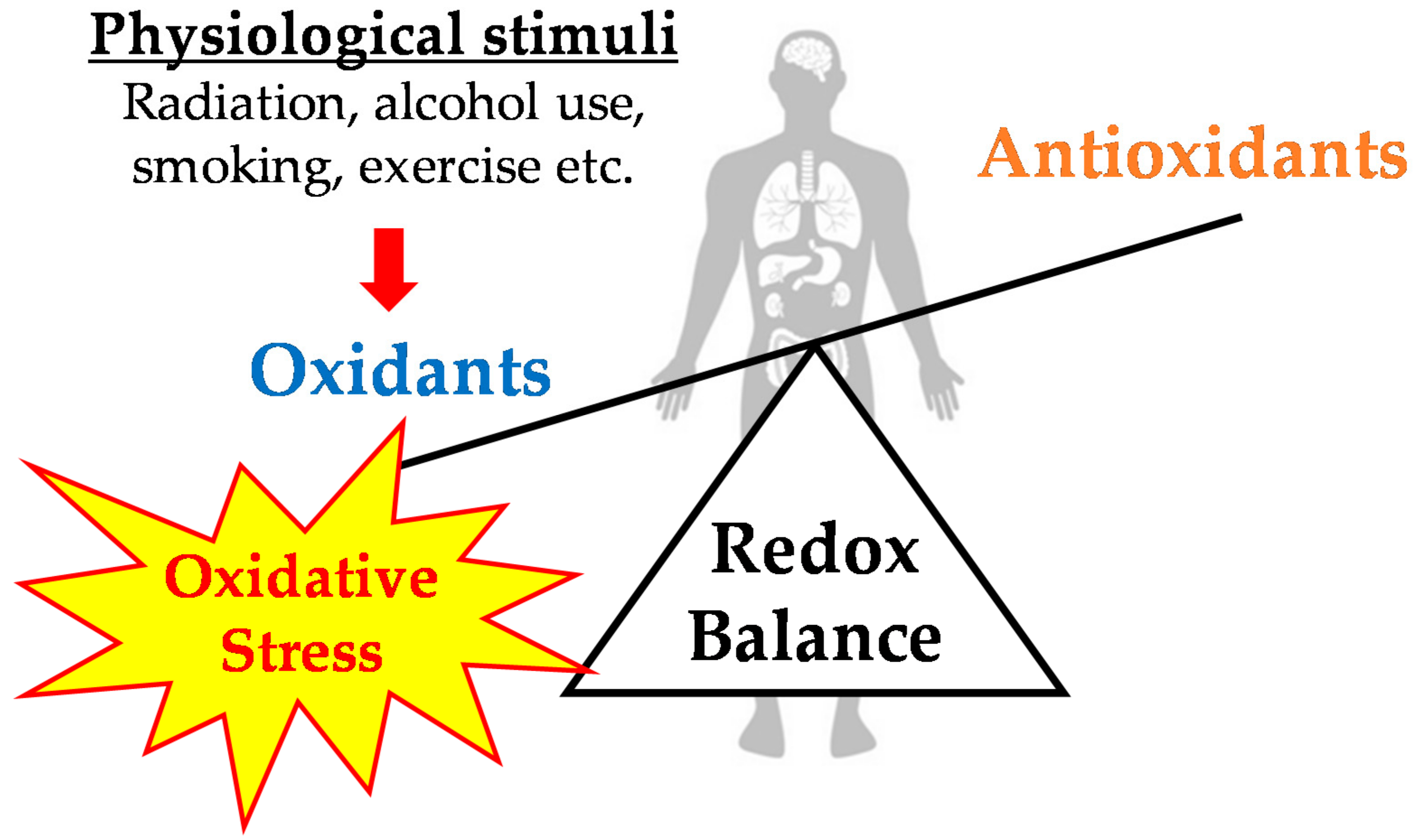 Antioxidants 07 00119 g001