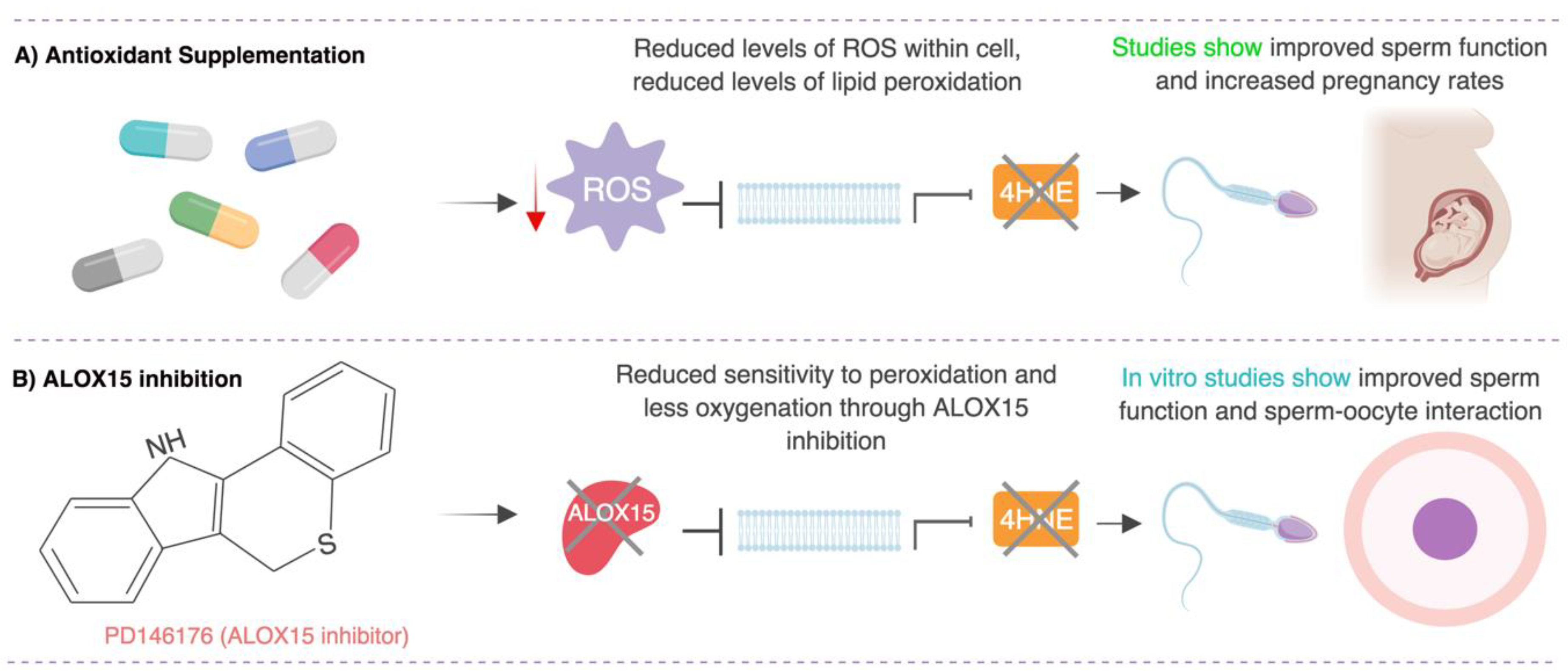 Antioxidants 07 00132 g002