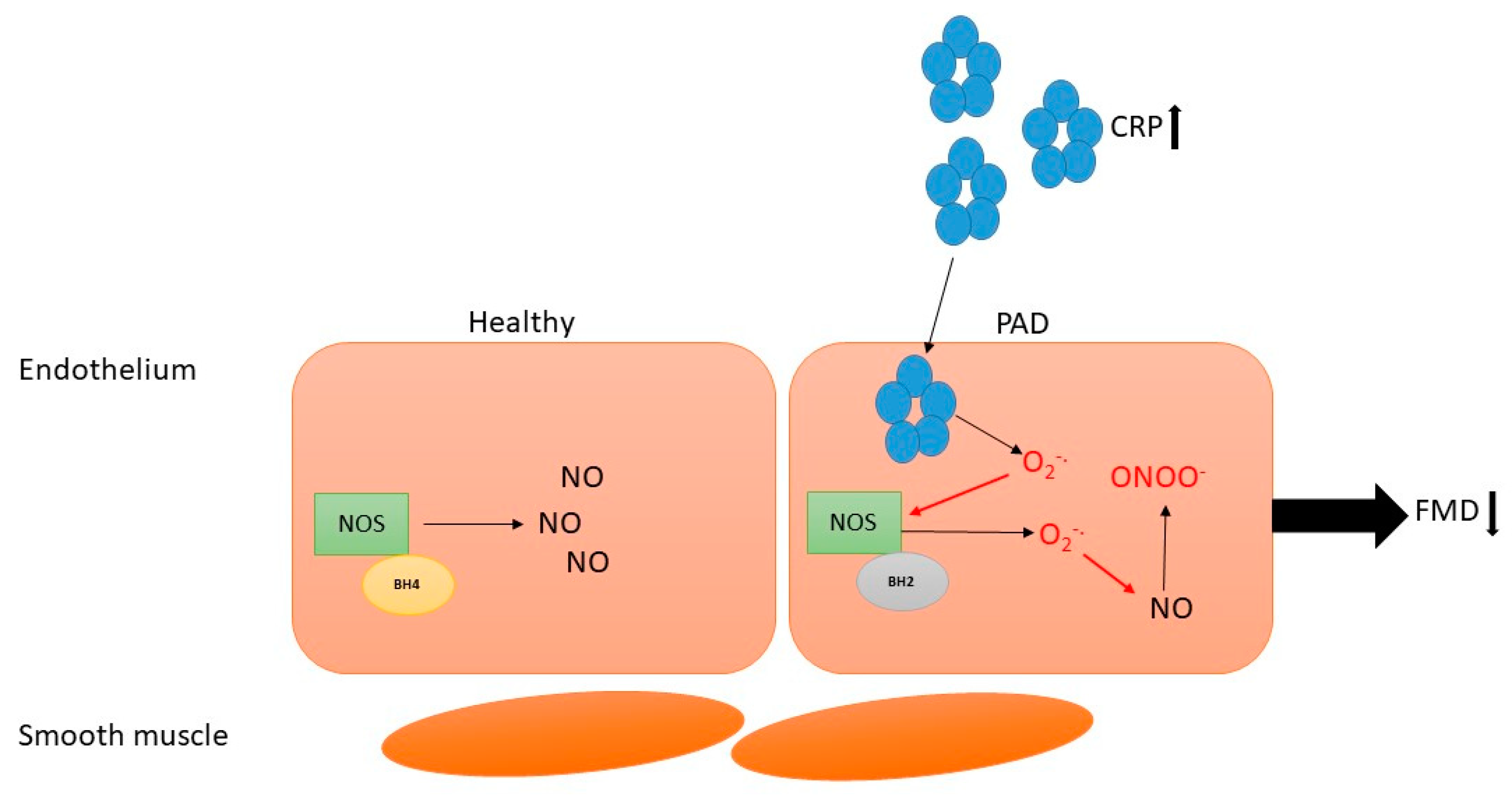 Antioxidants 07 00145 g001