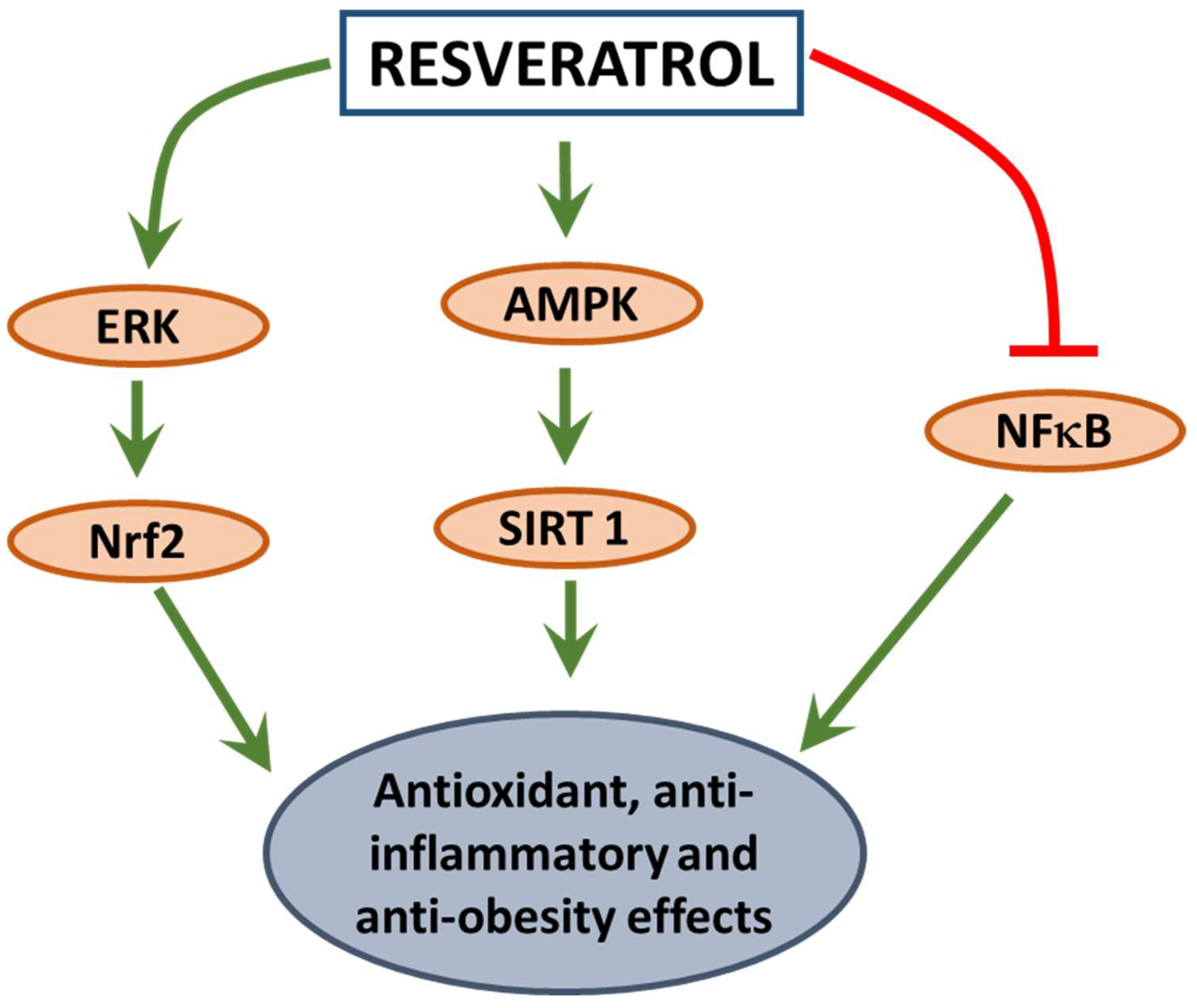 Antioxidants 07 00147 g002