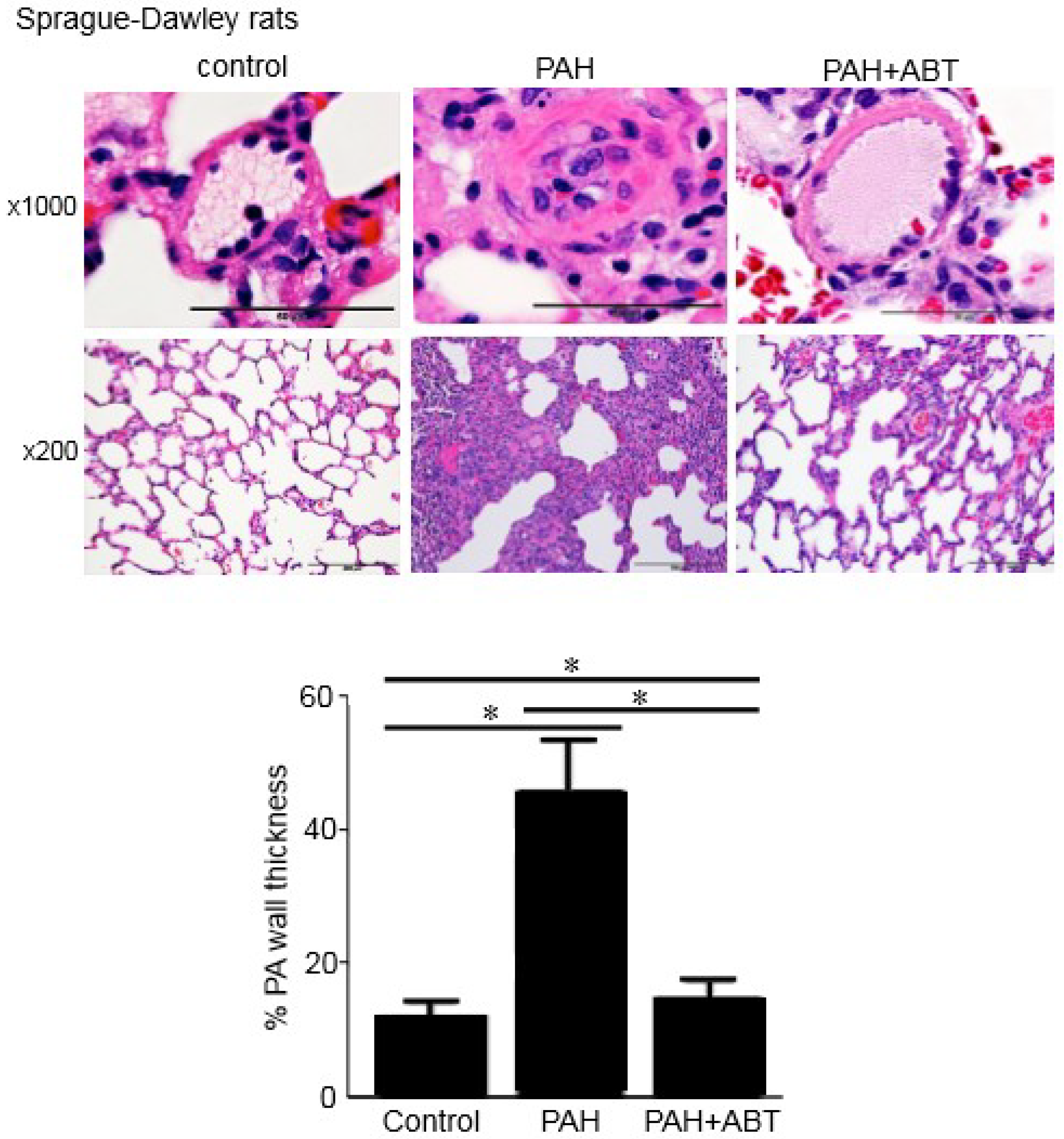Antioxidants 07 00150 g005