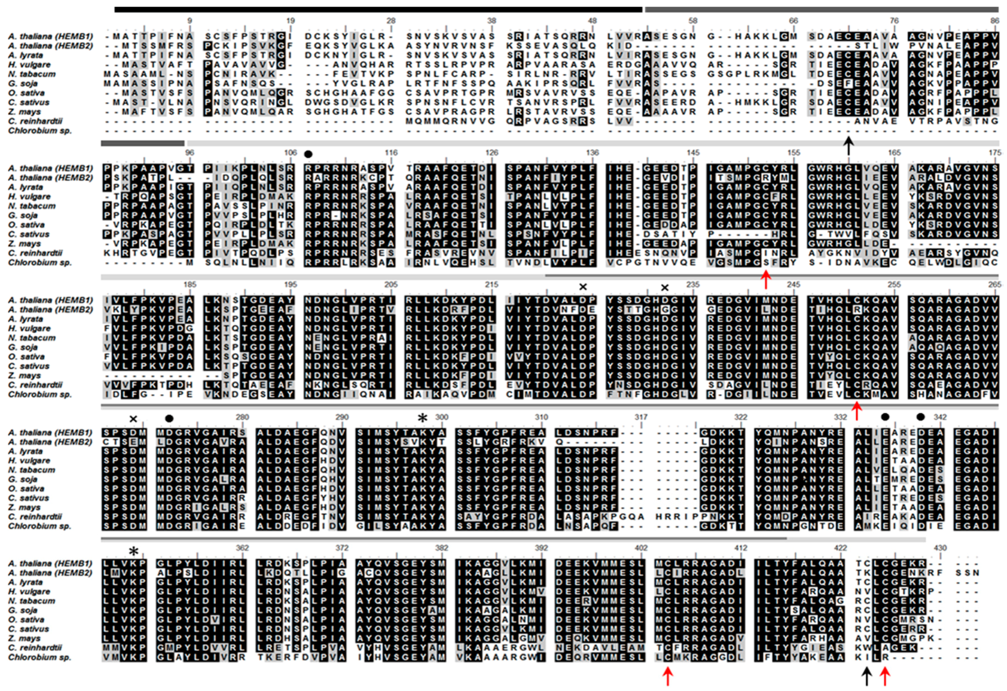 Antioxidants 07 00152 g002